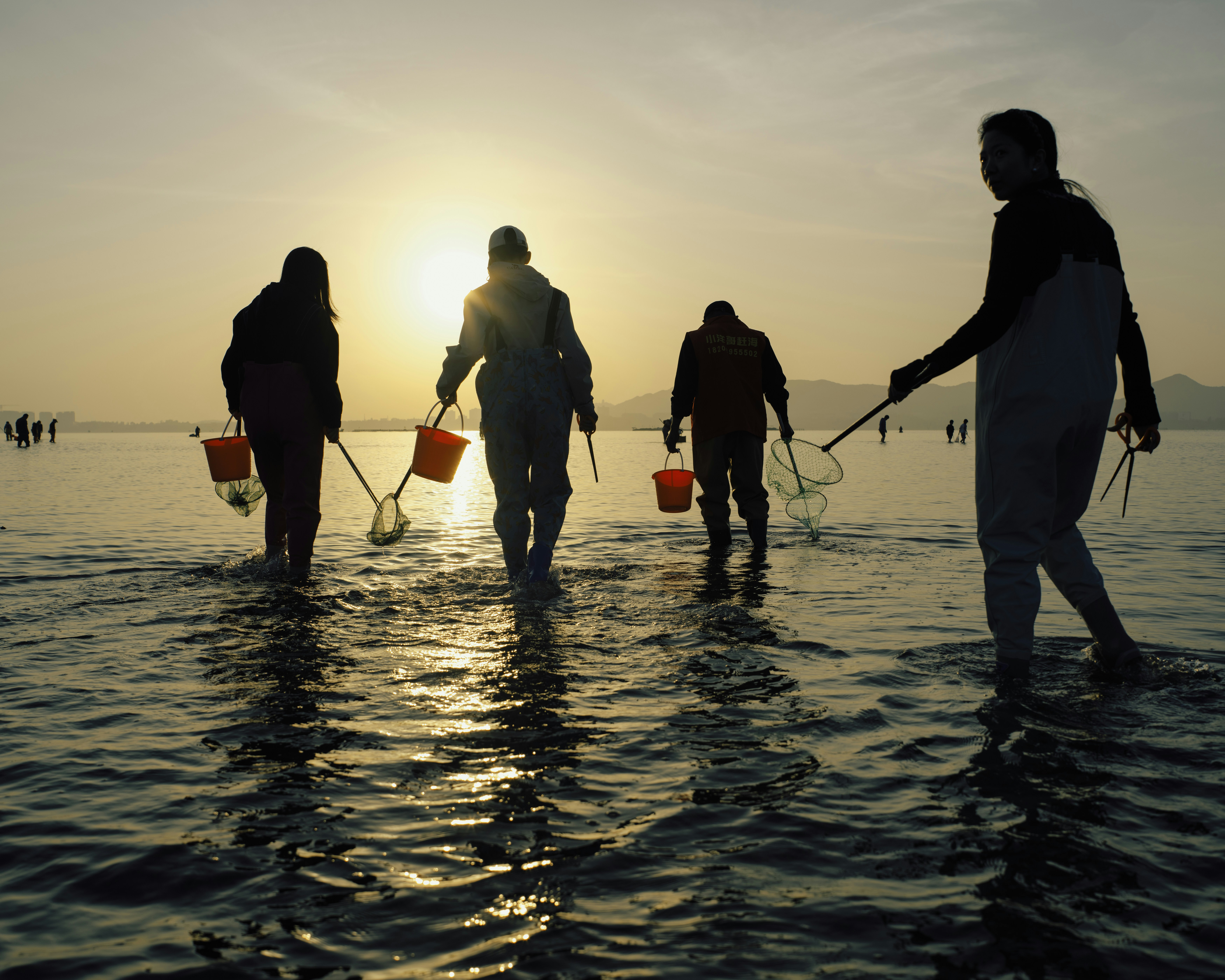 People are clamming in the water at sunset.