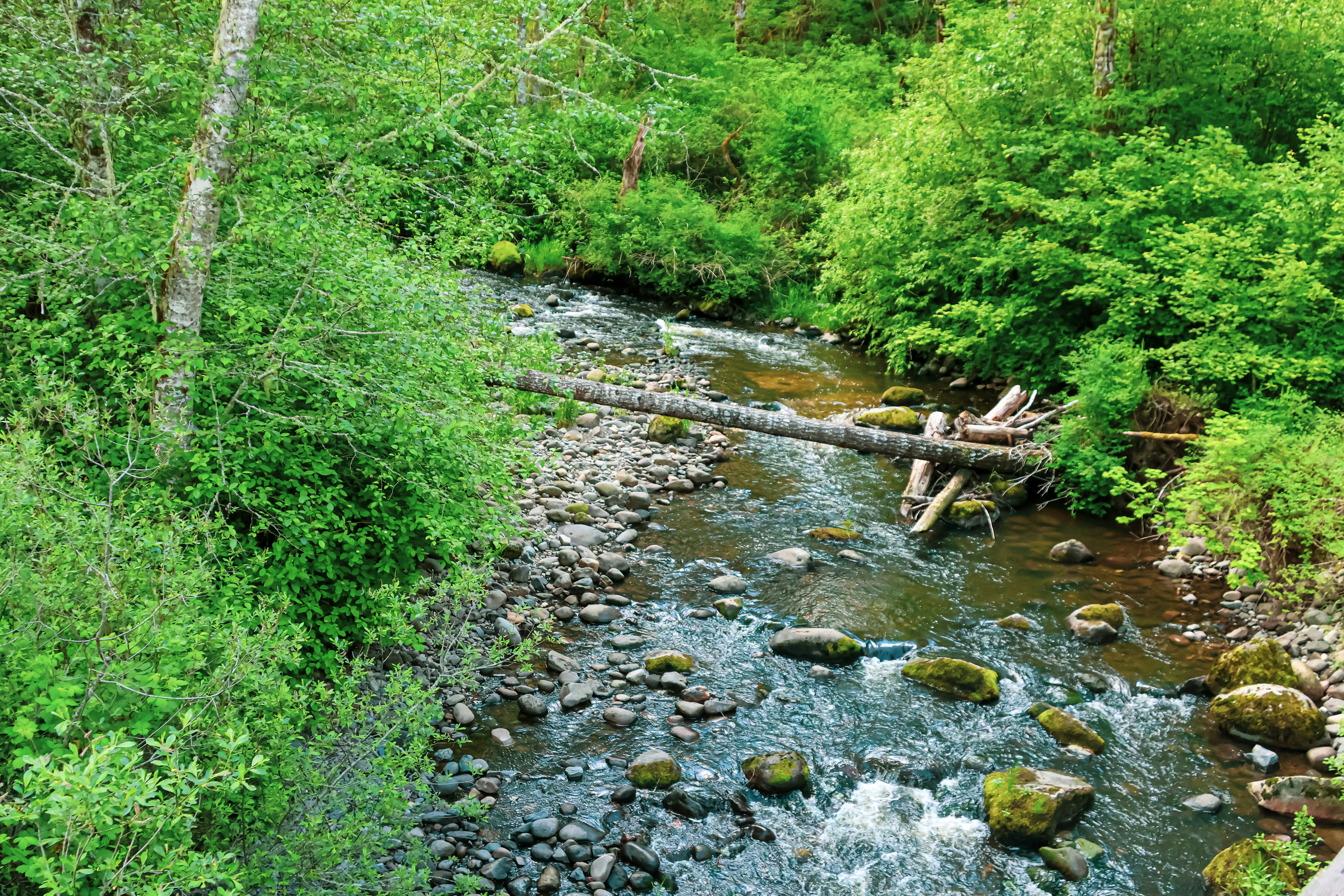 Photo by traveleroohlala