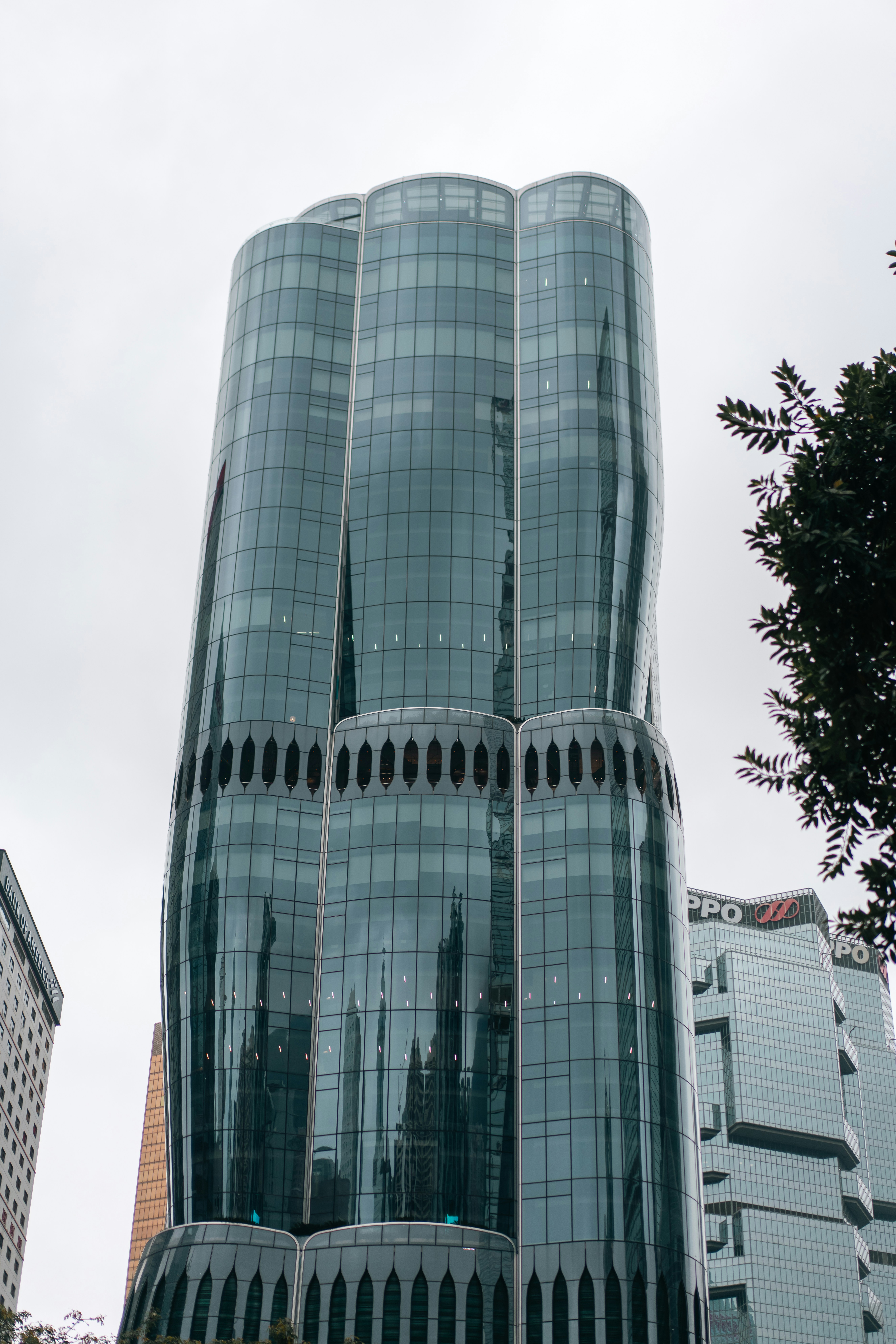 Photo by clayton_cardinalli