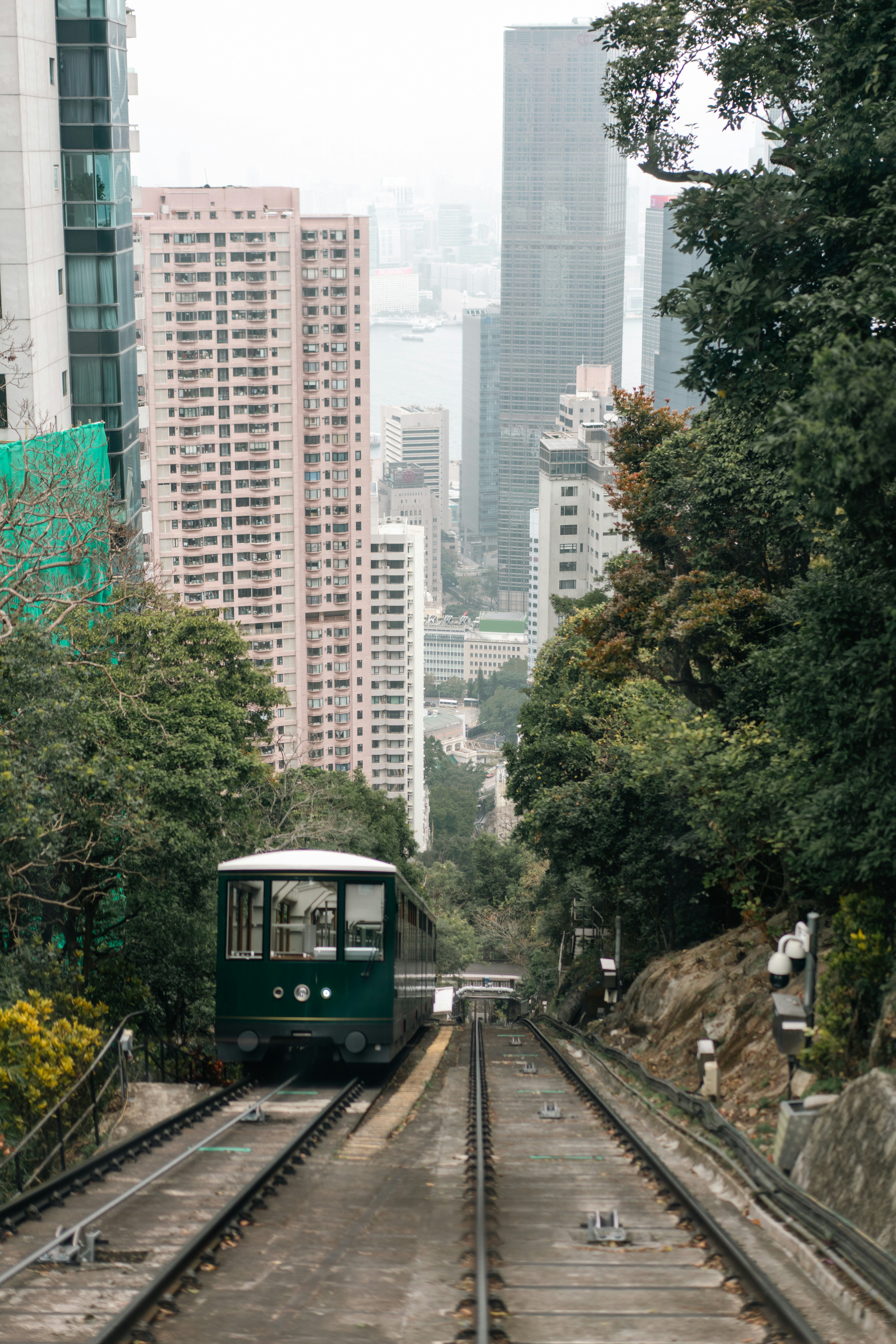 Photo by clayton_cardinalli