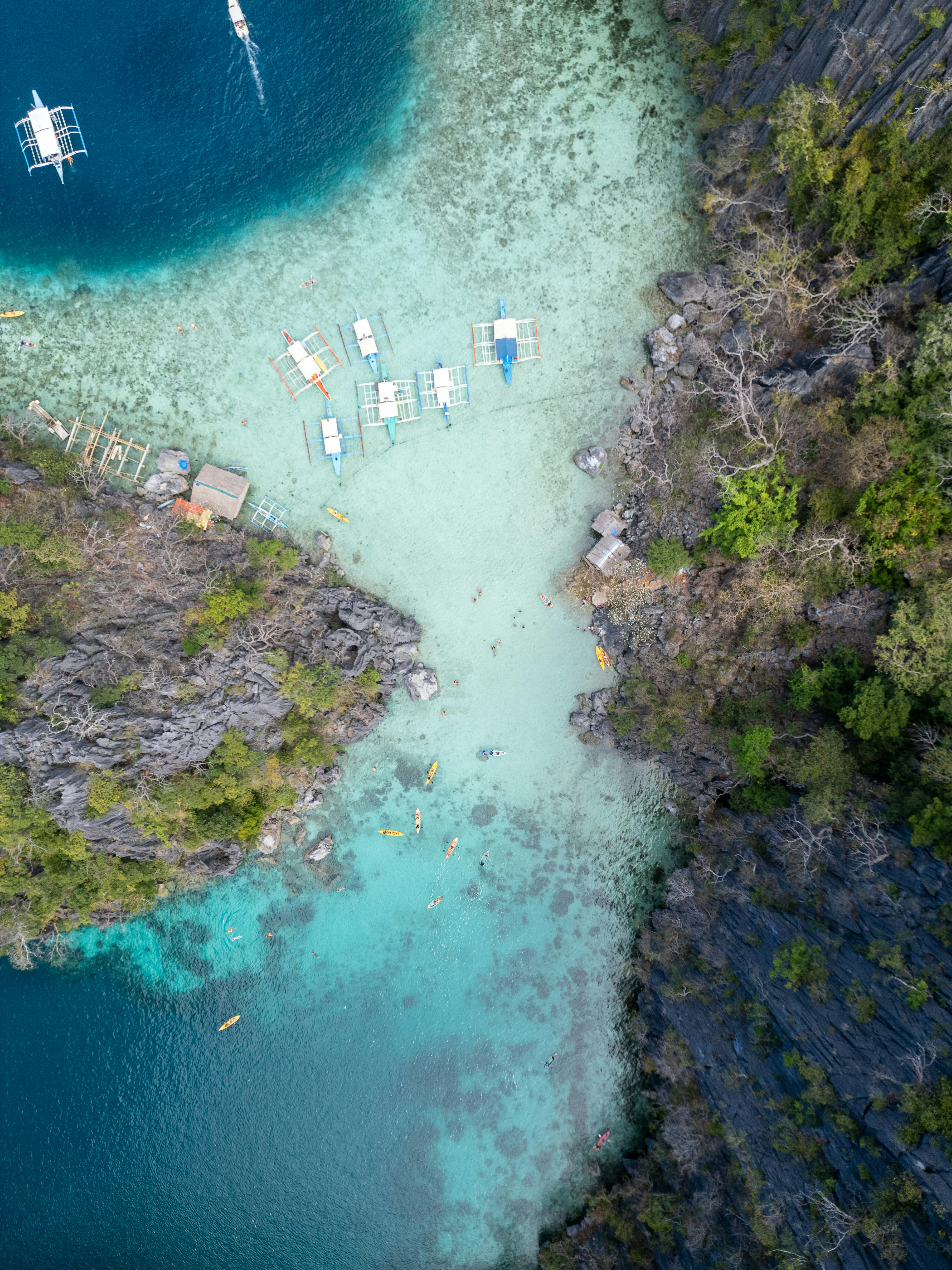 Photo by clayton_cardinalli