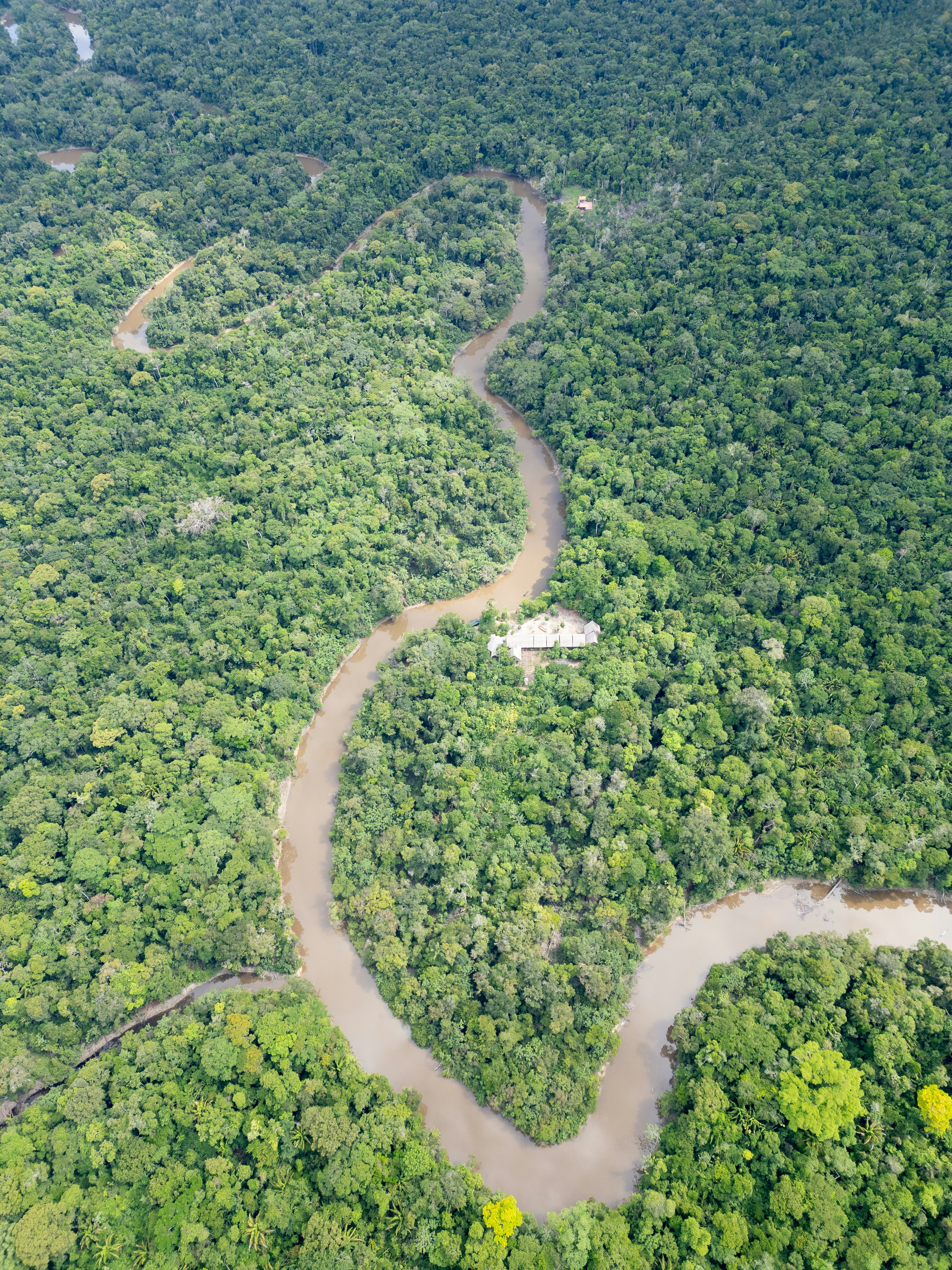 Photo by clayton_cardinalli