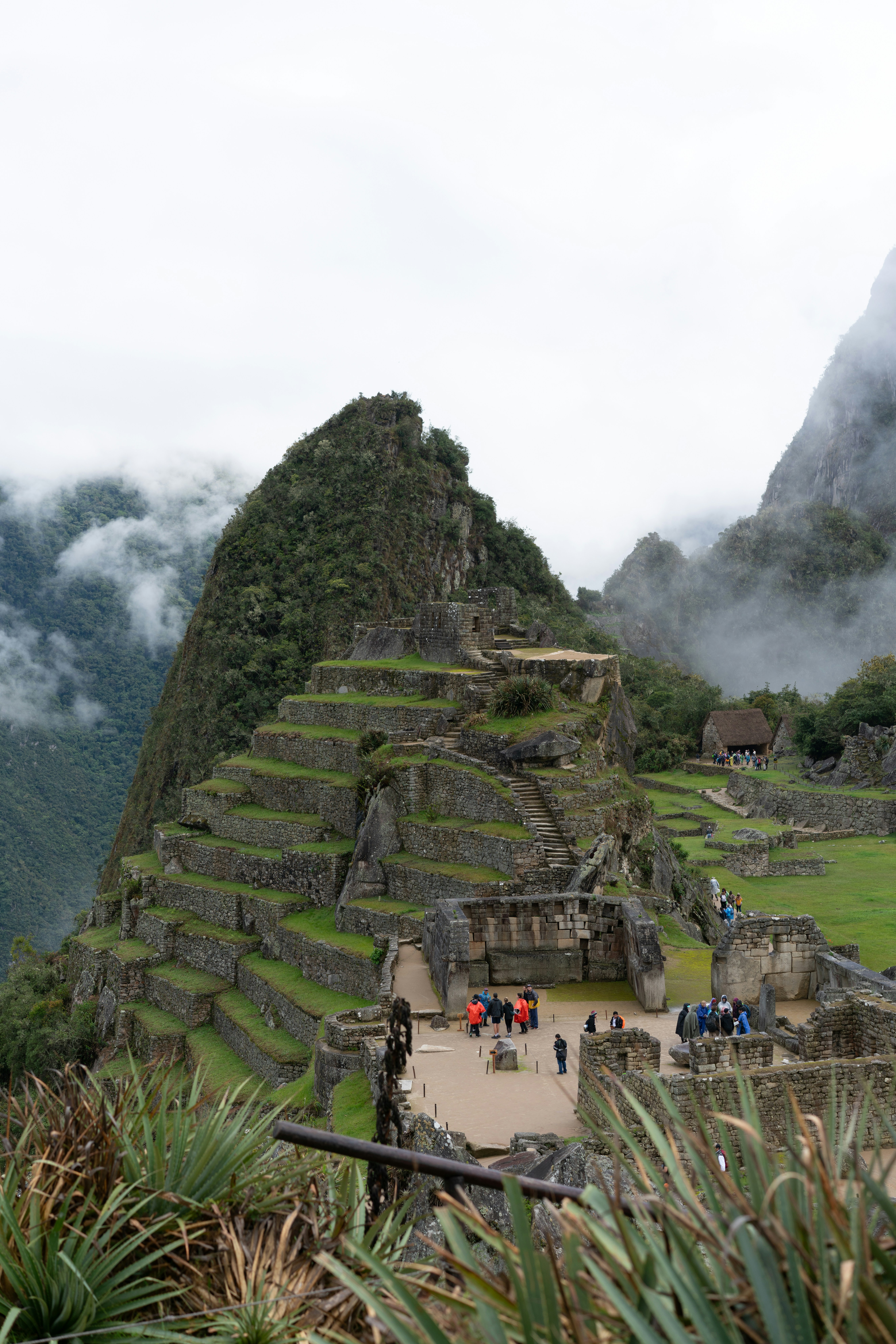 Photo by clayton_cardinalli