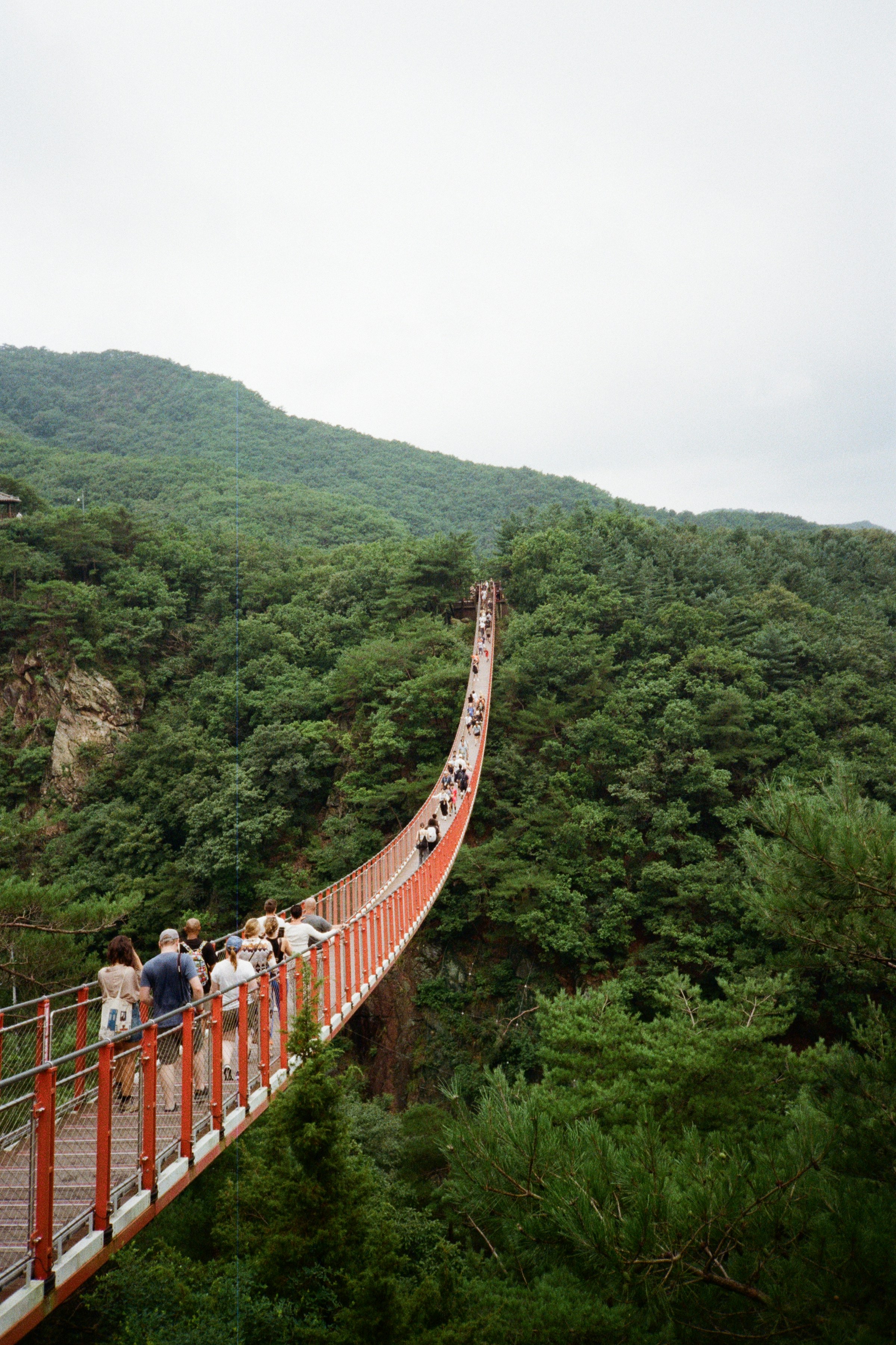 People walk across a long, orange suspension bridge.
