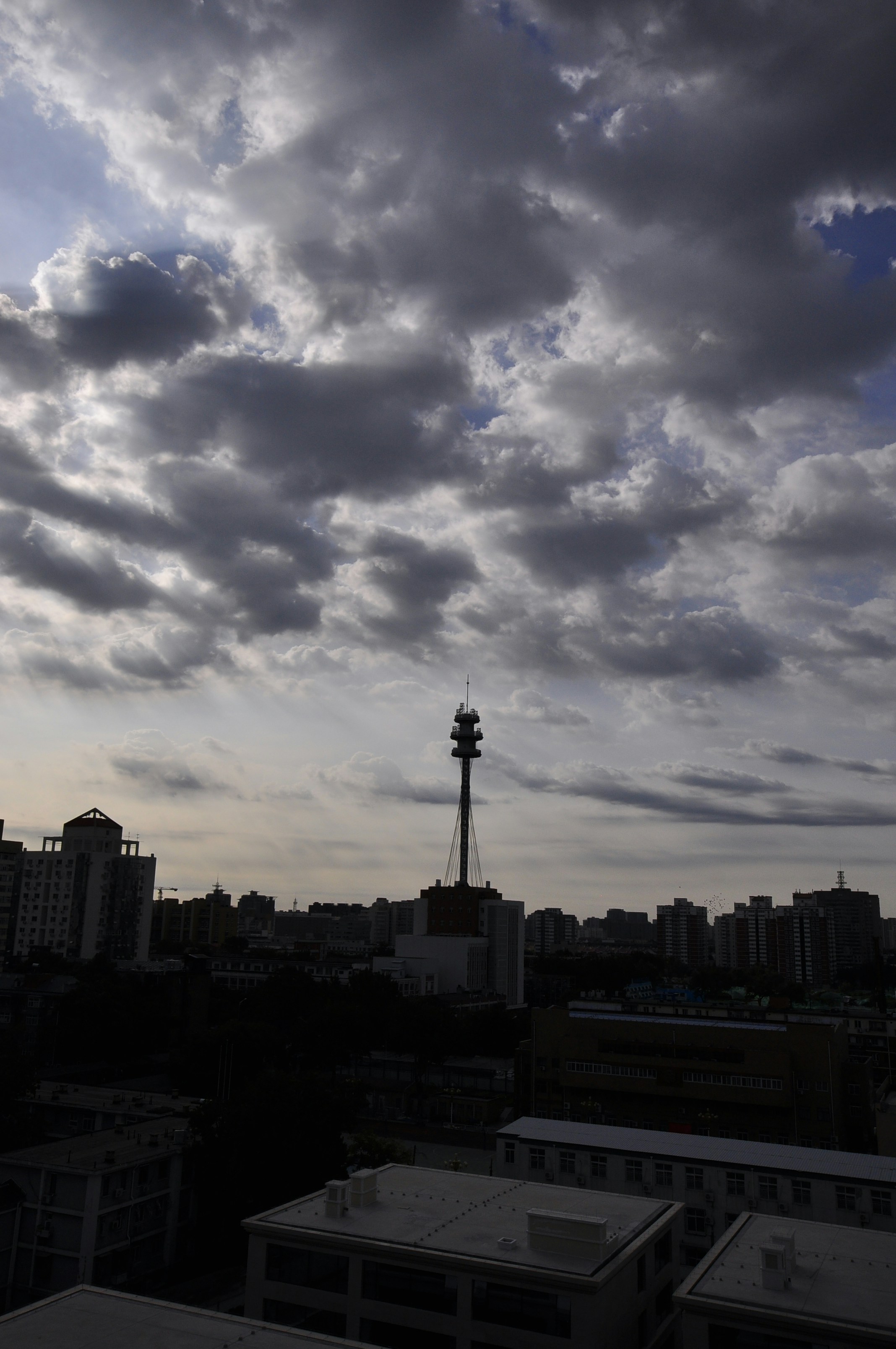 Photo by gabrielxu
