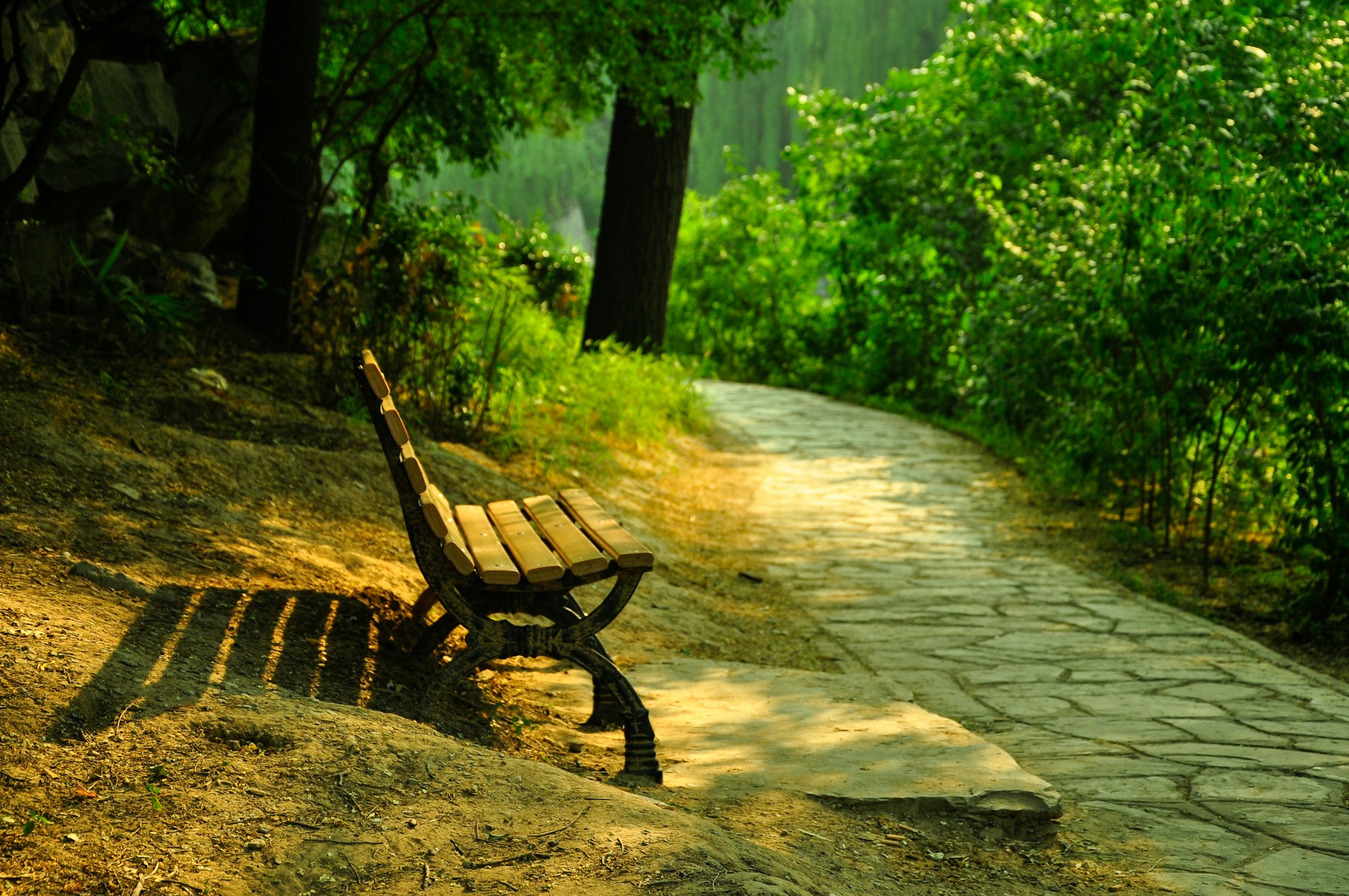 A bench sits next to a path in a park.