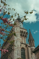 A gothic church tower with blossoming branches.