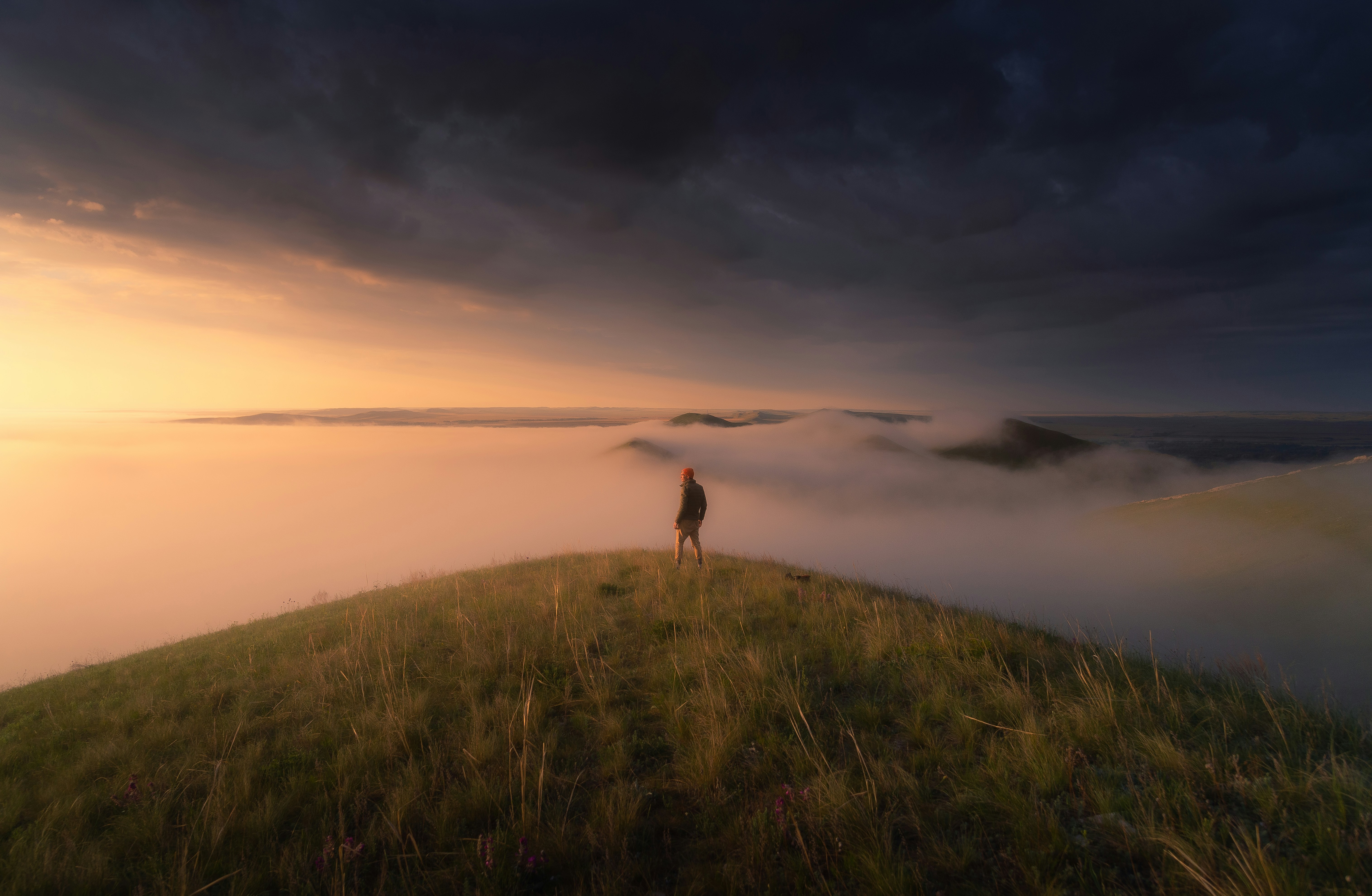 Your Thorough Guide to Houston Relocation Company Selection