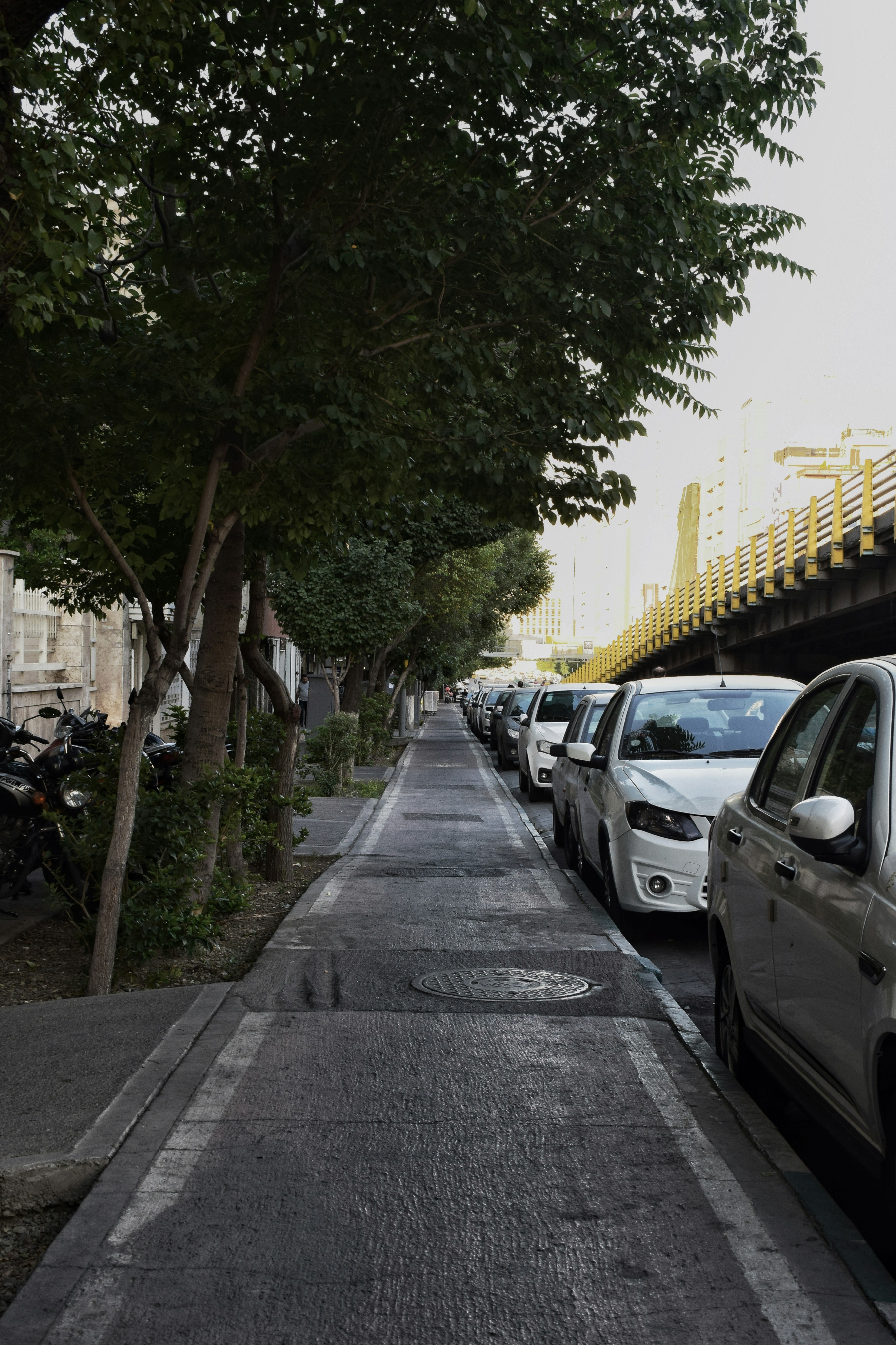 Photo by aliaghaee4789