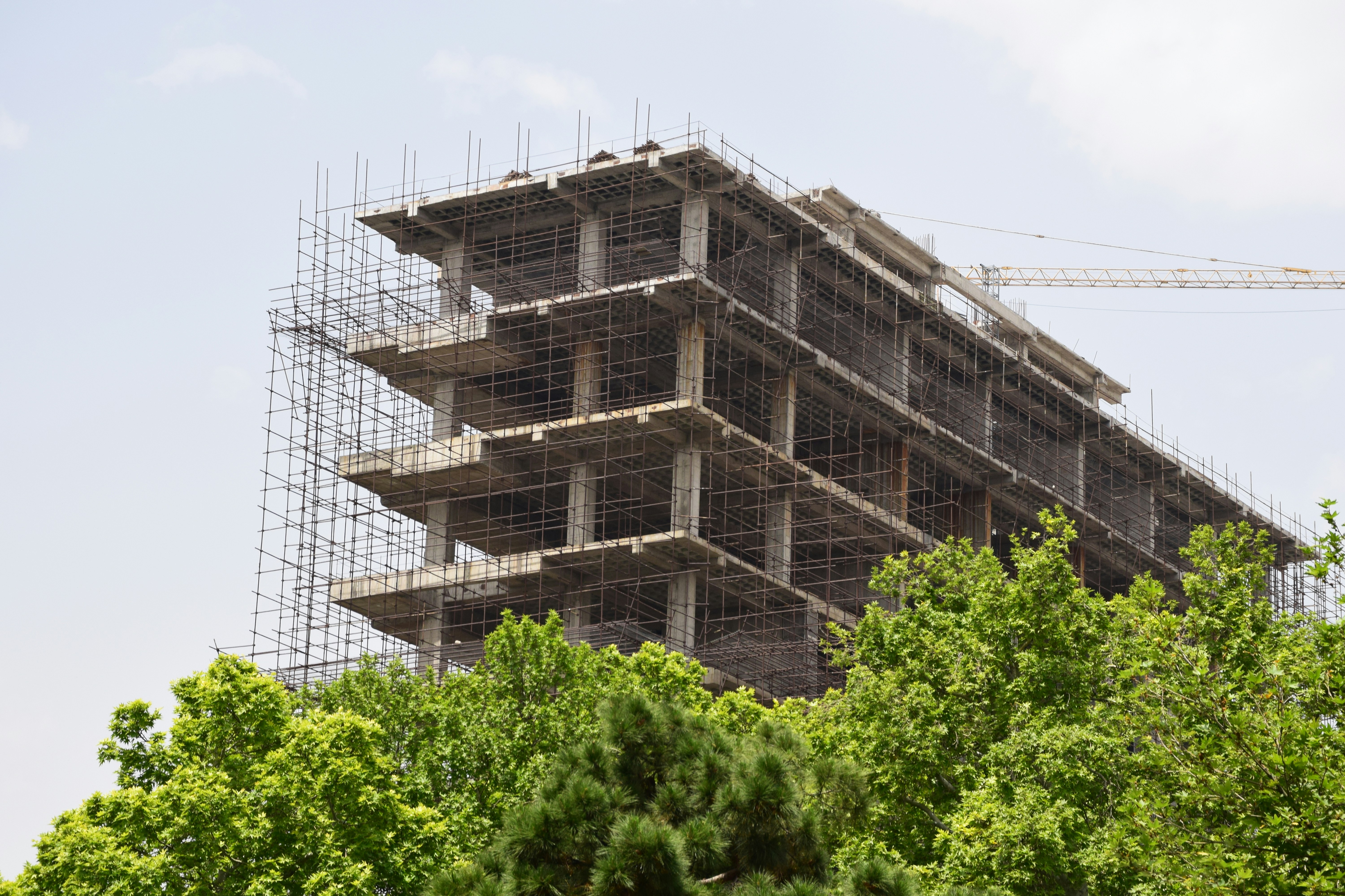 Photo by aliaghaee4789