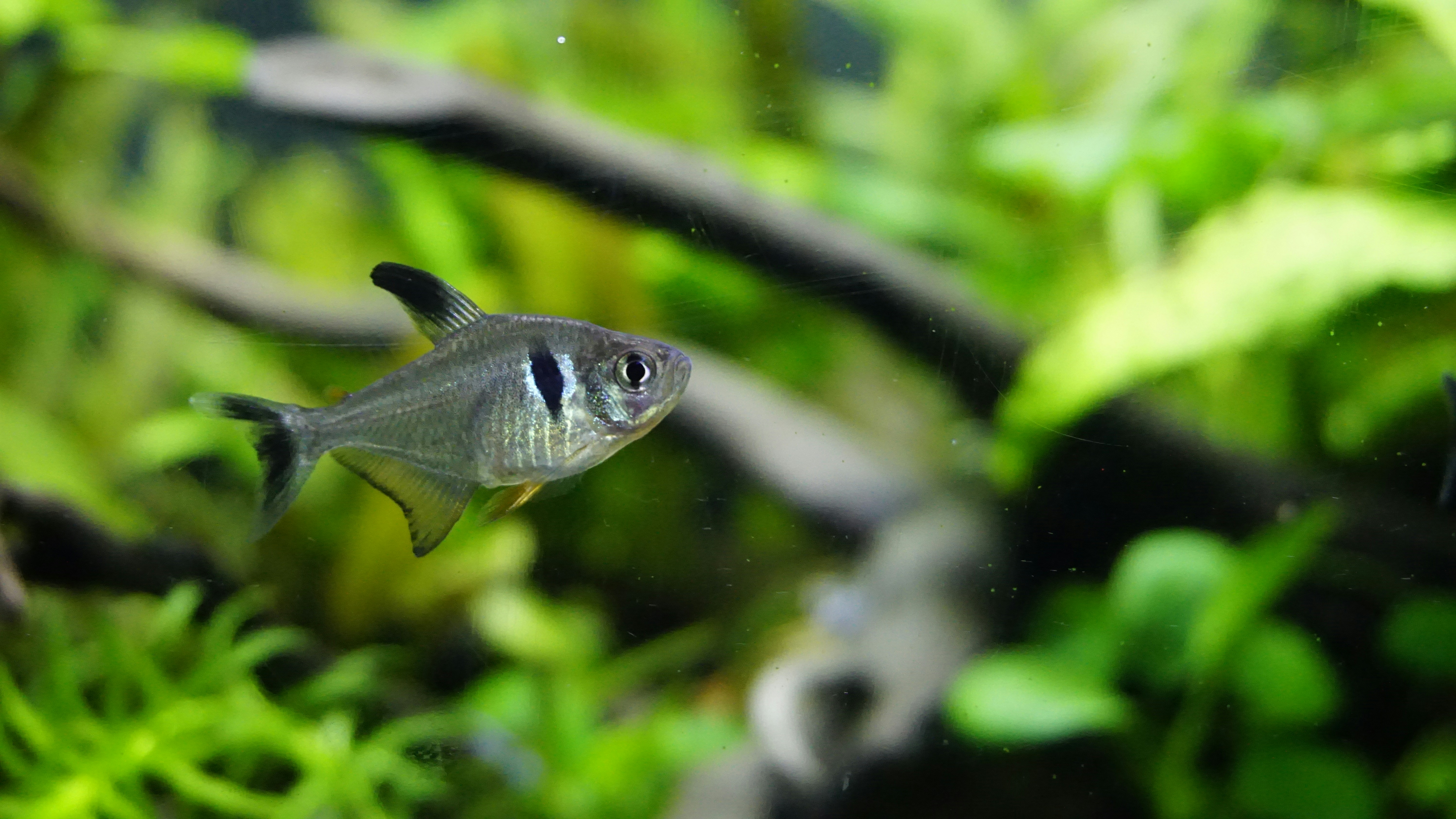 Photo by teguharisma