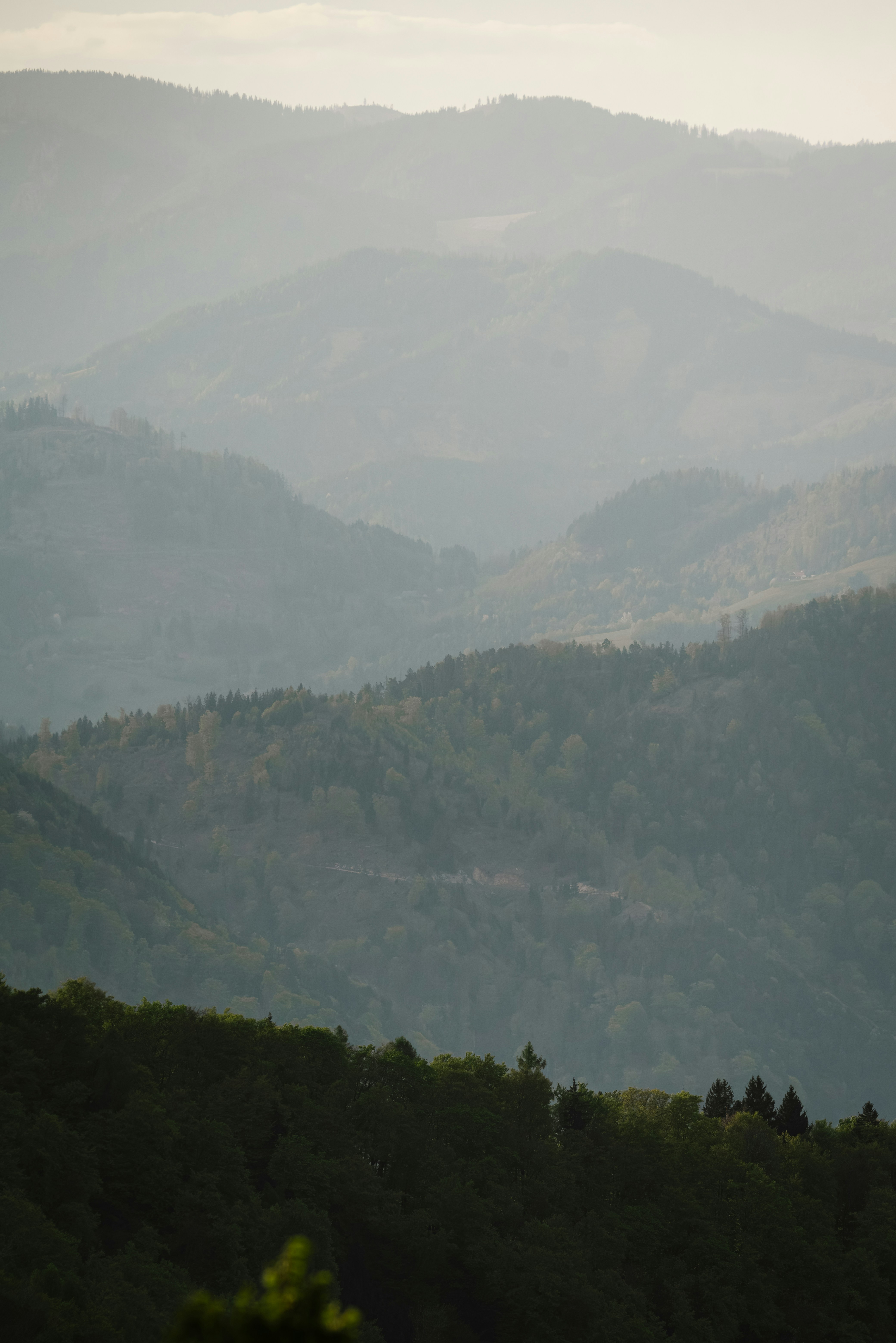 Photo by ahmetyuksek