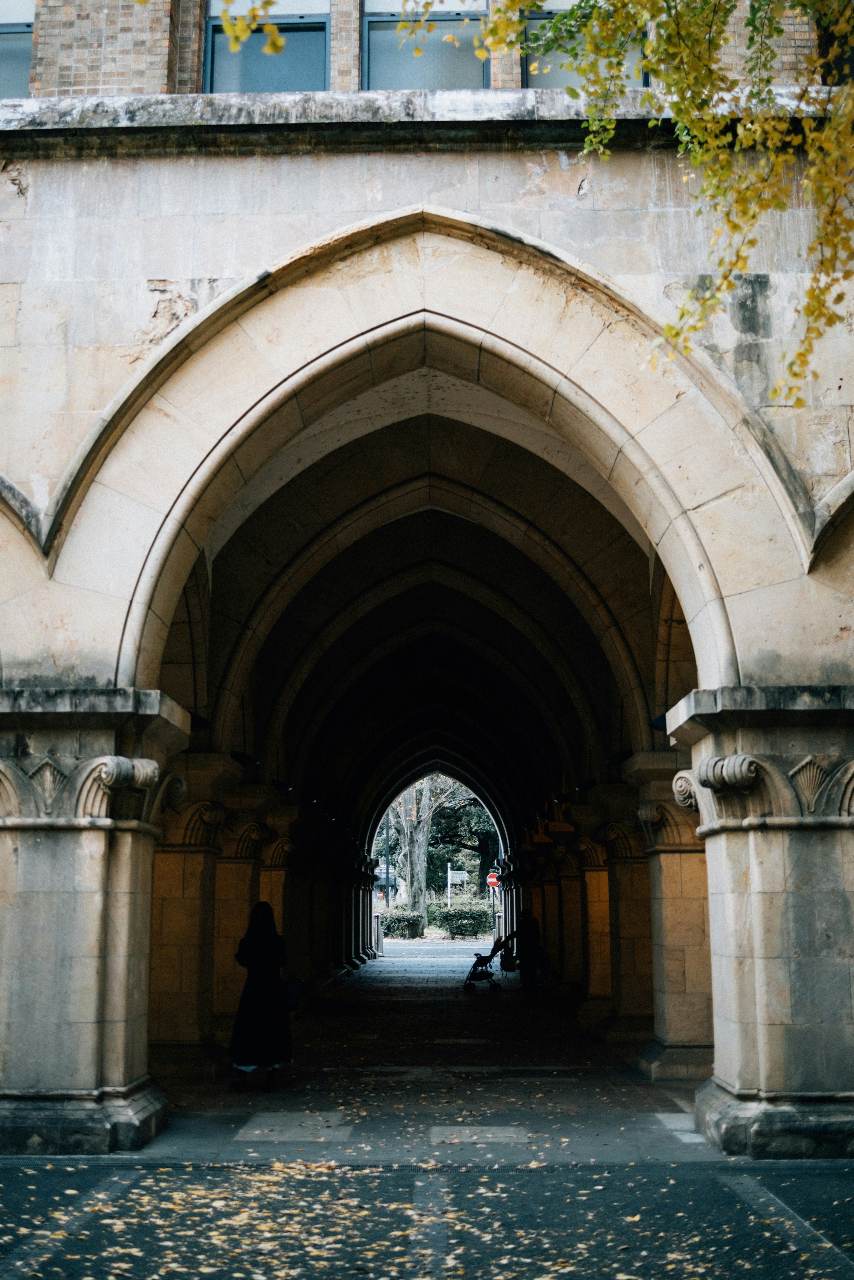 Photo by tsuyoshikozu