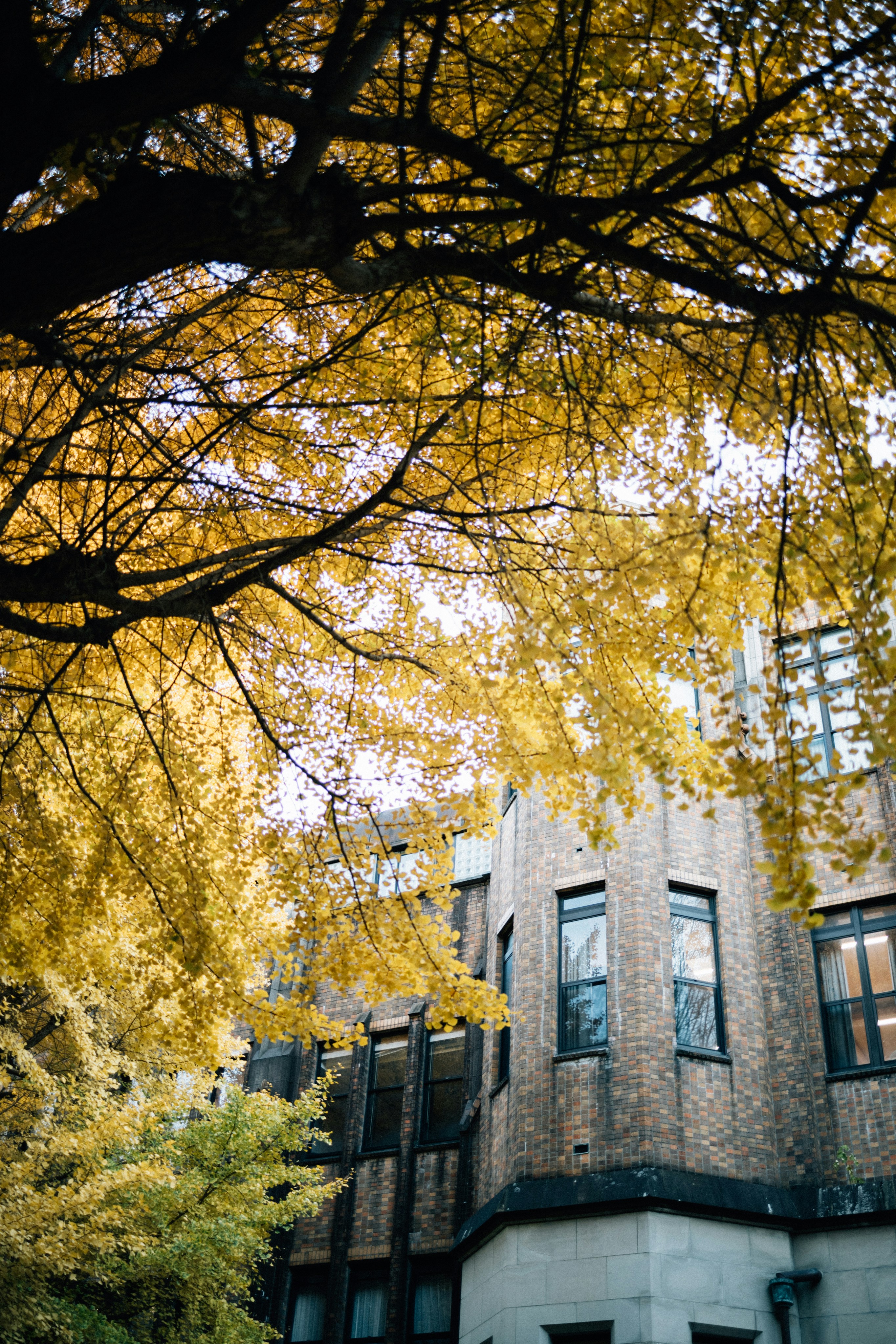 Photo by tsuyoshikozu