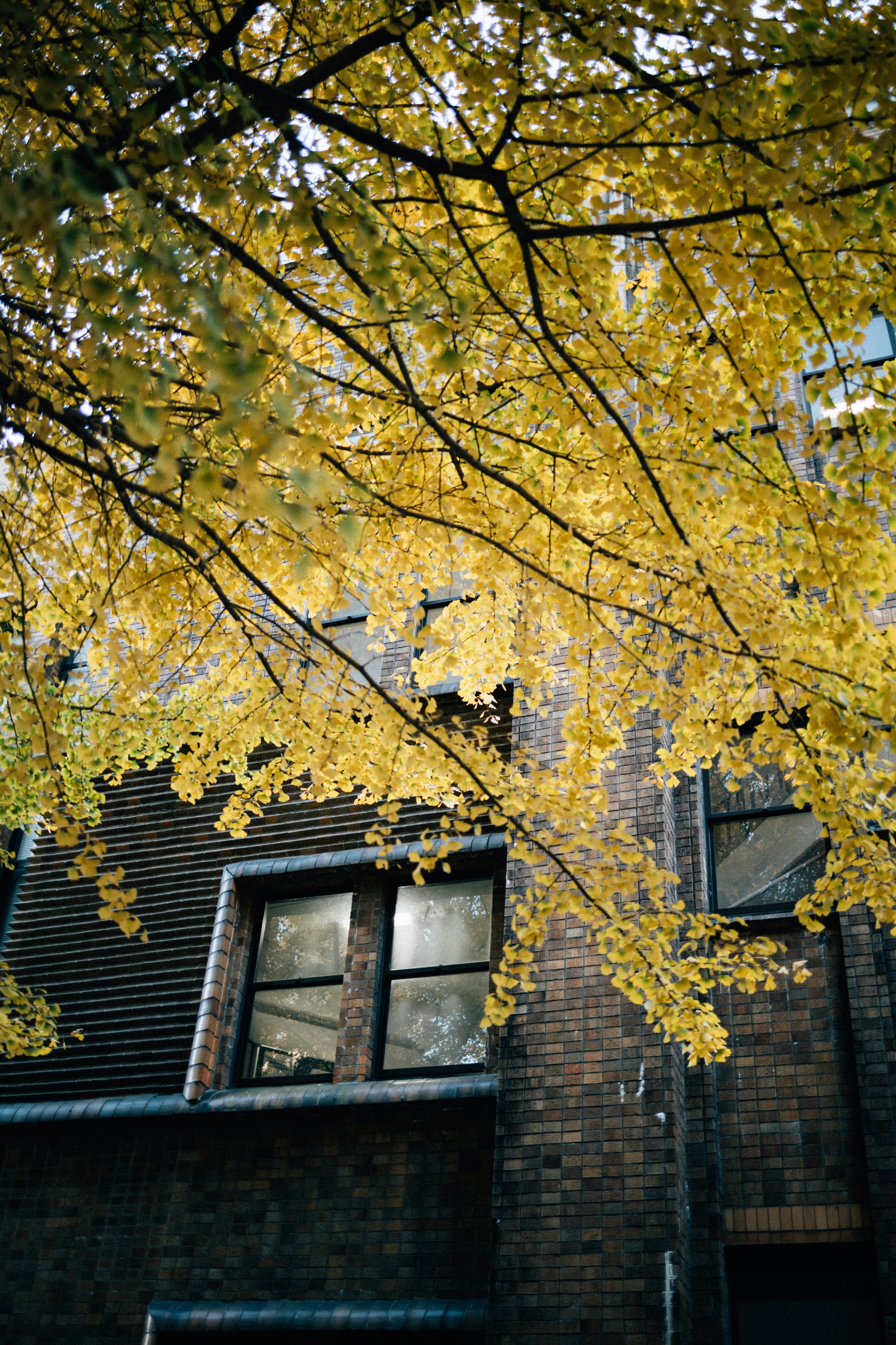 Photo by tsuyoshikozu