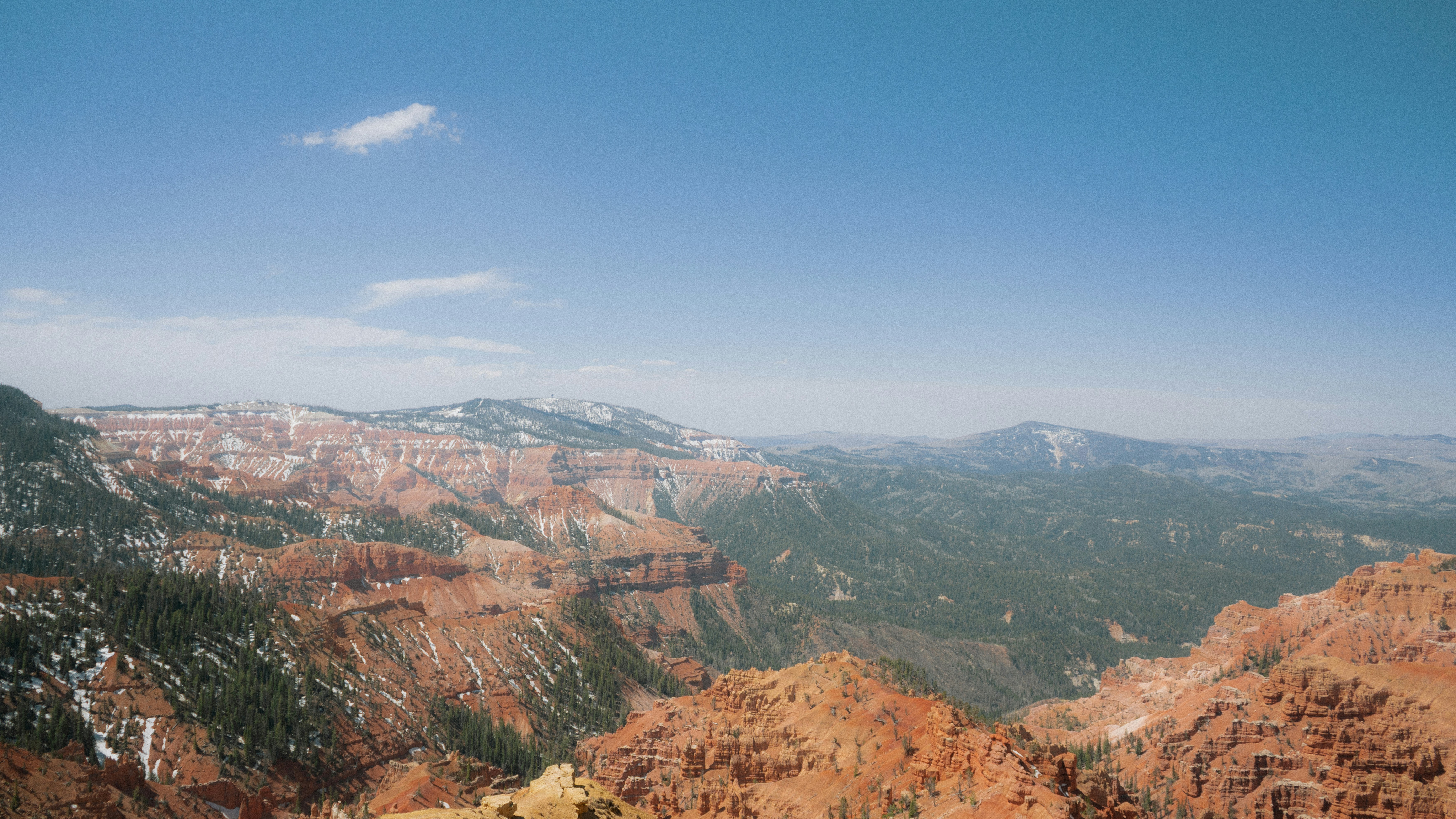 Photo by wonderwallphotos