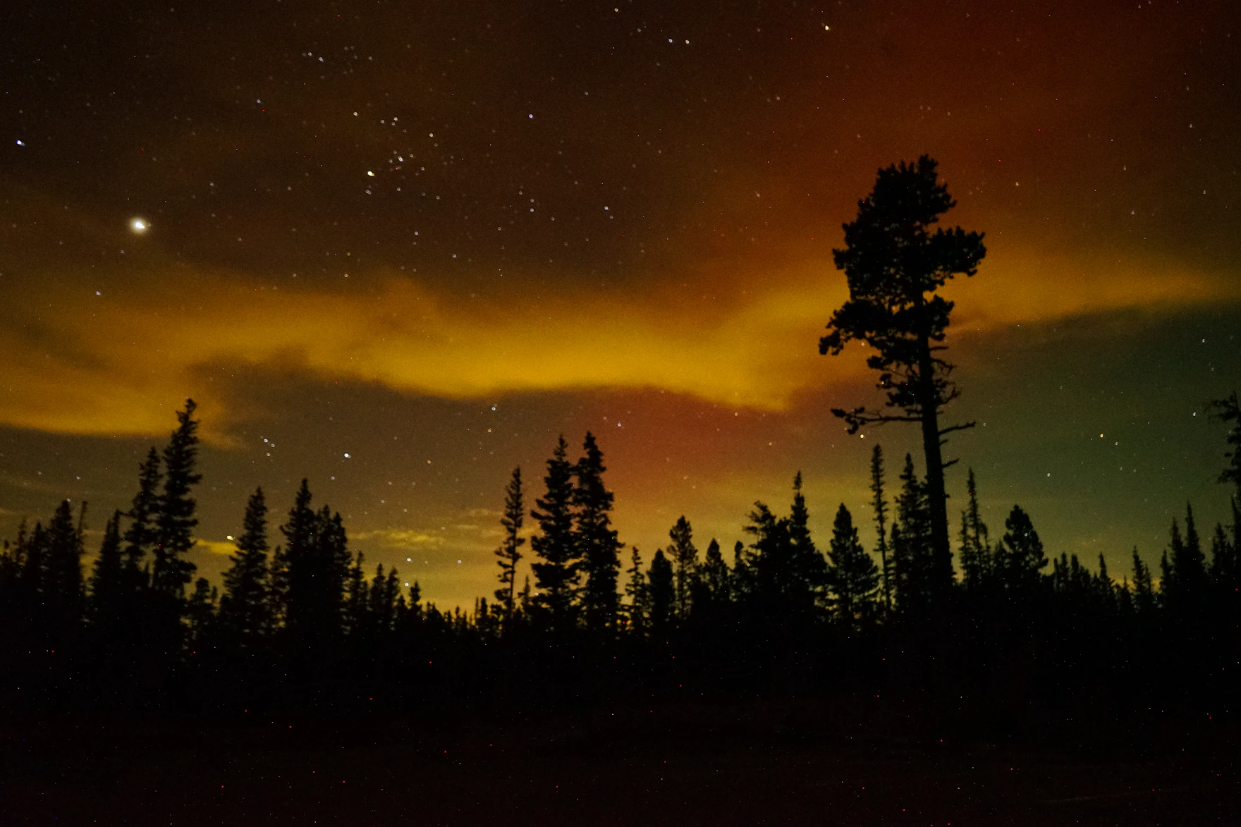 Zach Kessinger / Unsplash