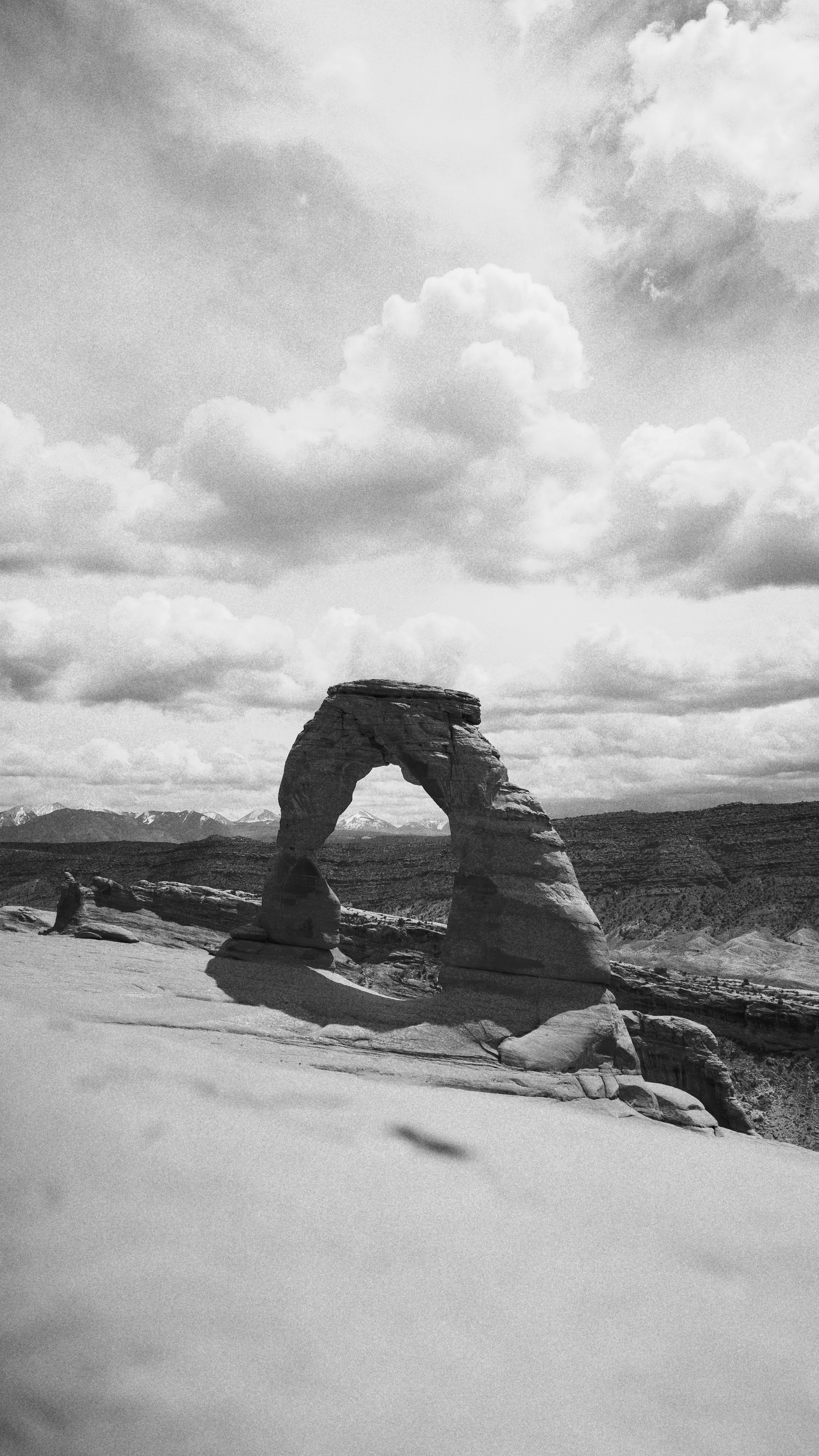 Photo by wonderwallphotos