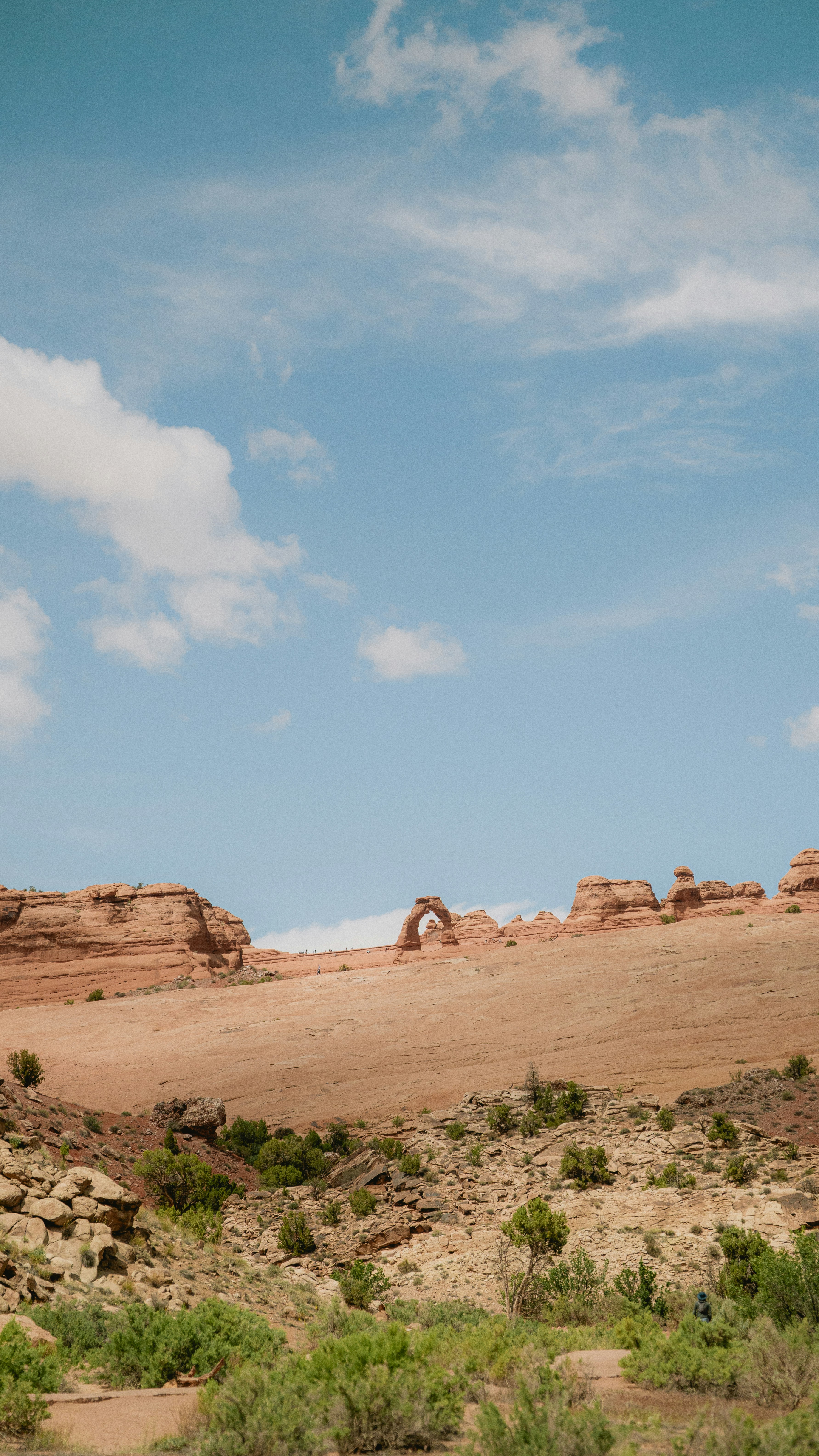 Photo by wonderwallphotos