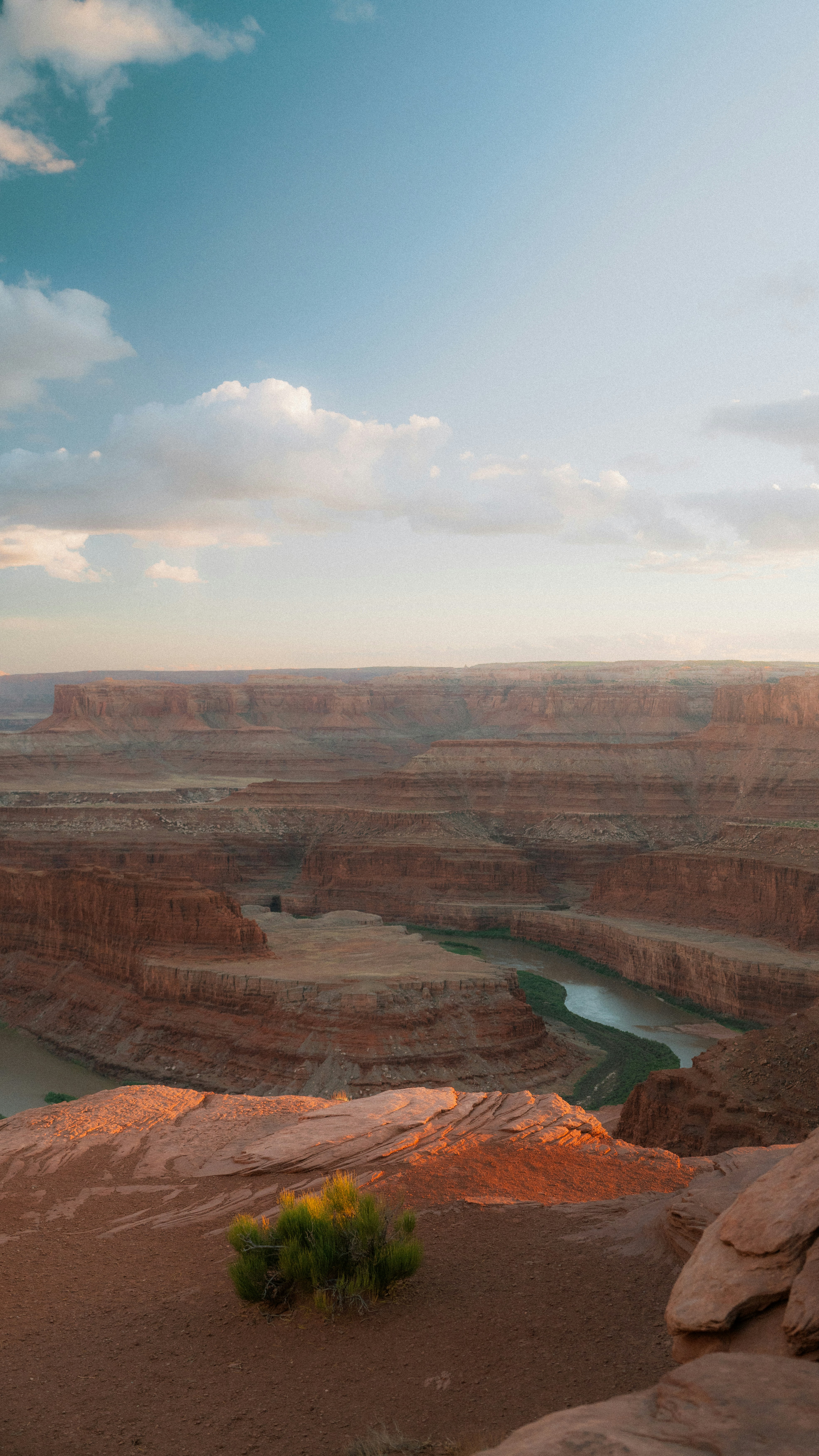 Photo by wonderwallphotos