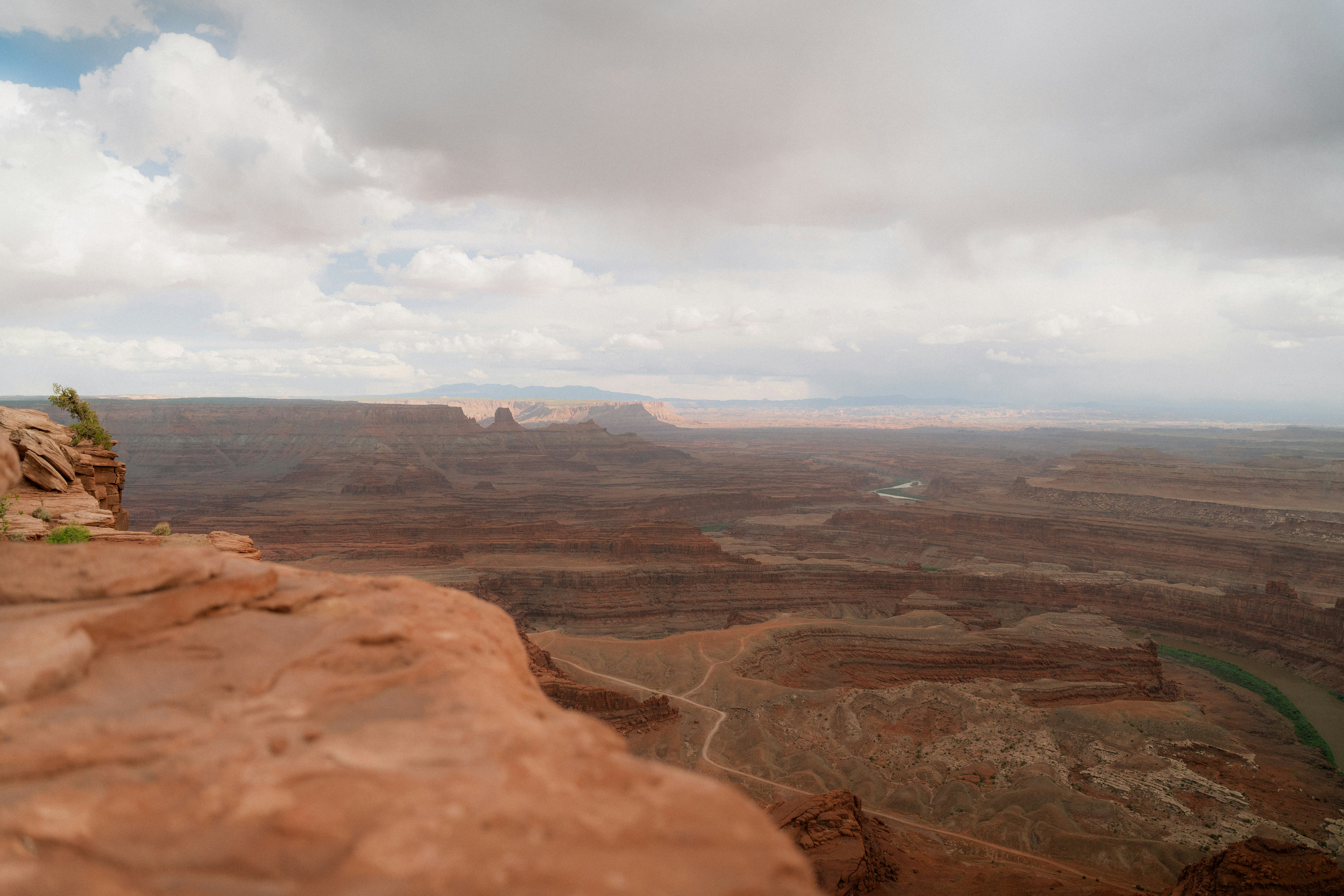 Photo by wonderwallphotos