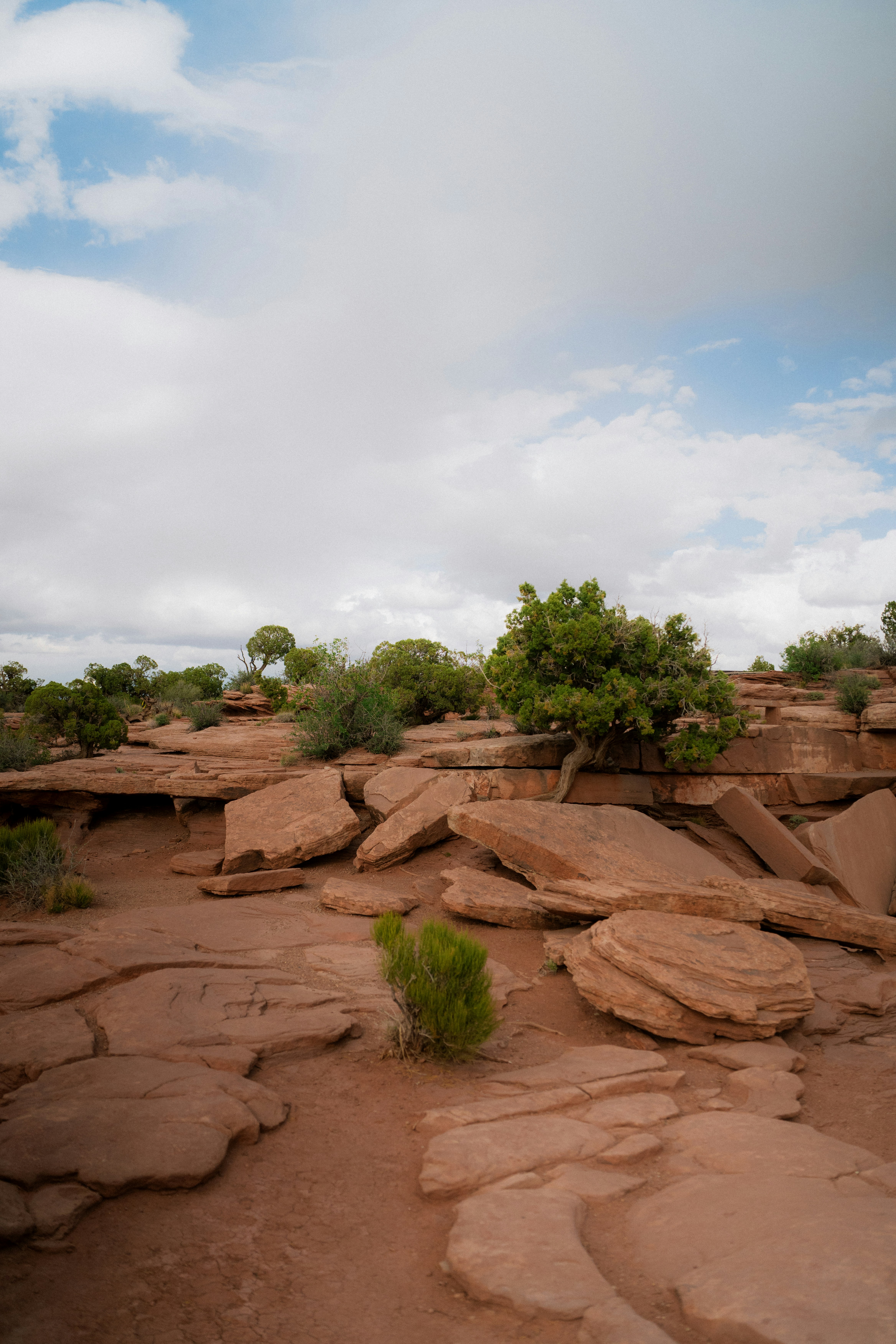 Photo by wonderwallphotos