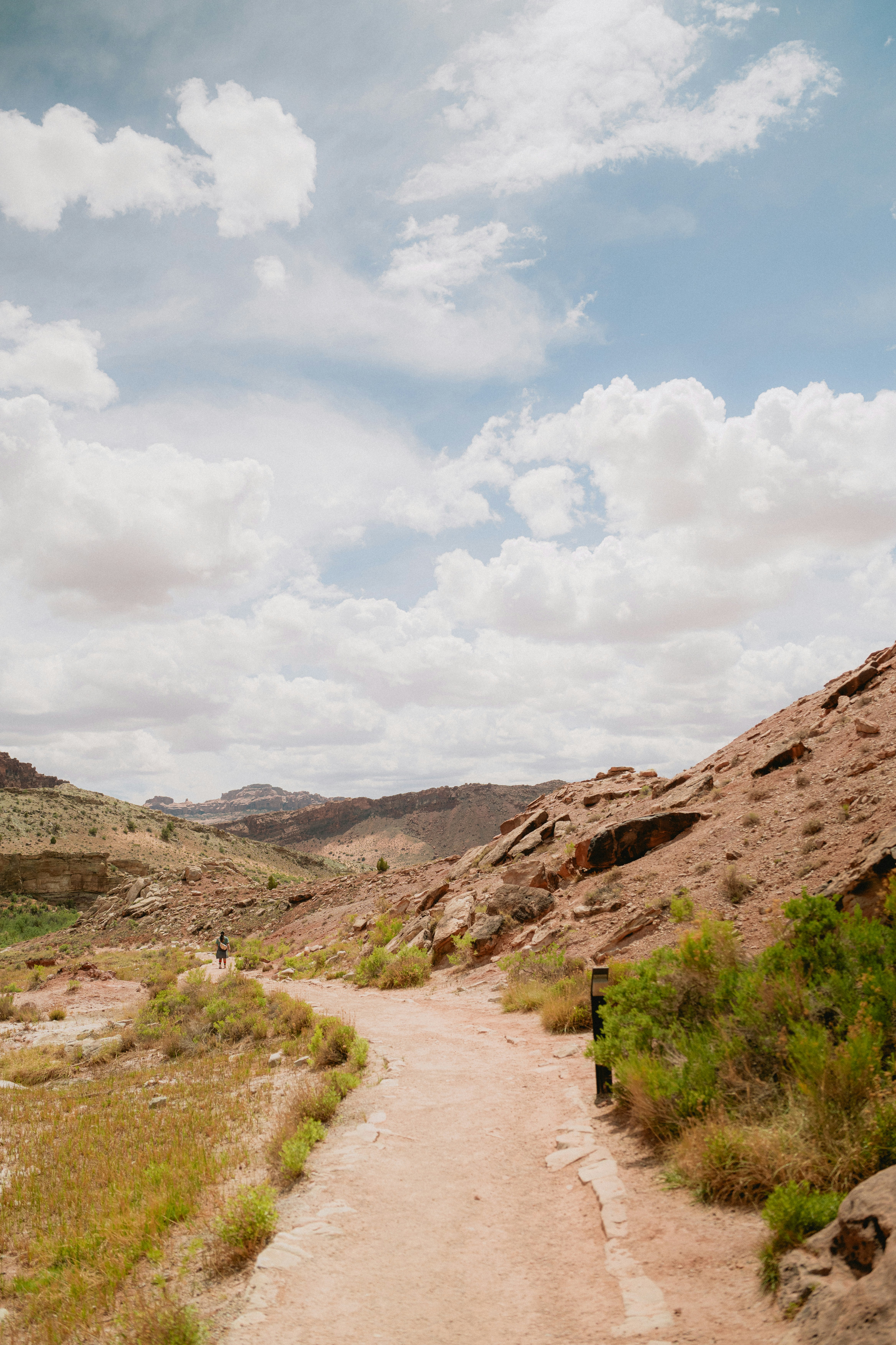 Photo by wonderwallphotos