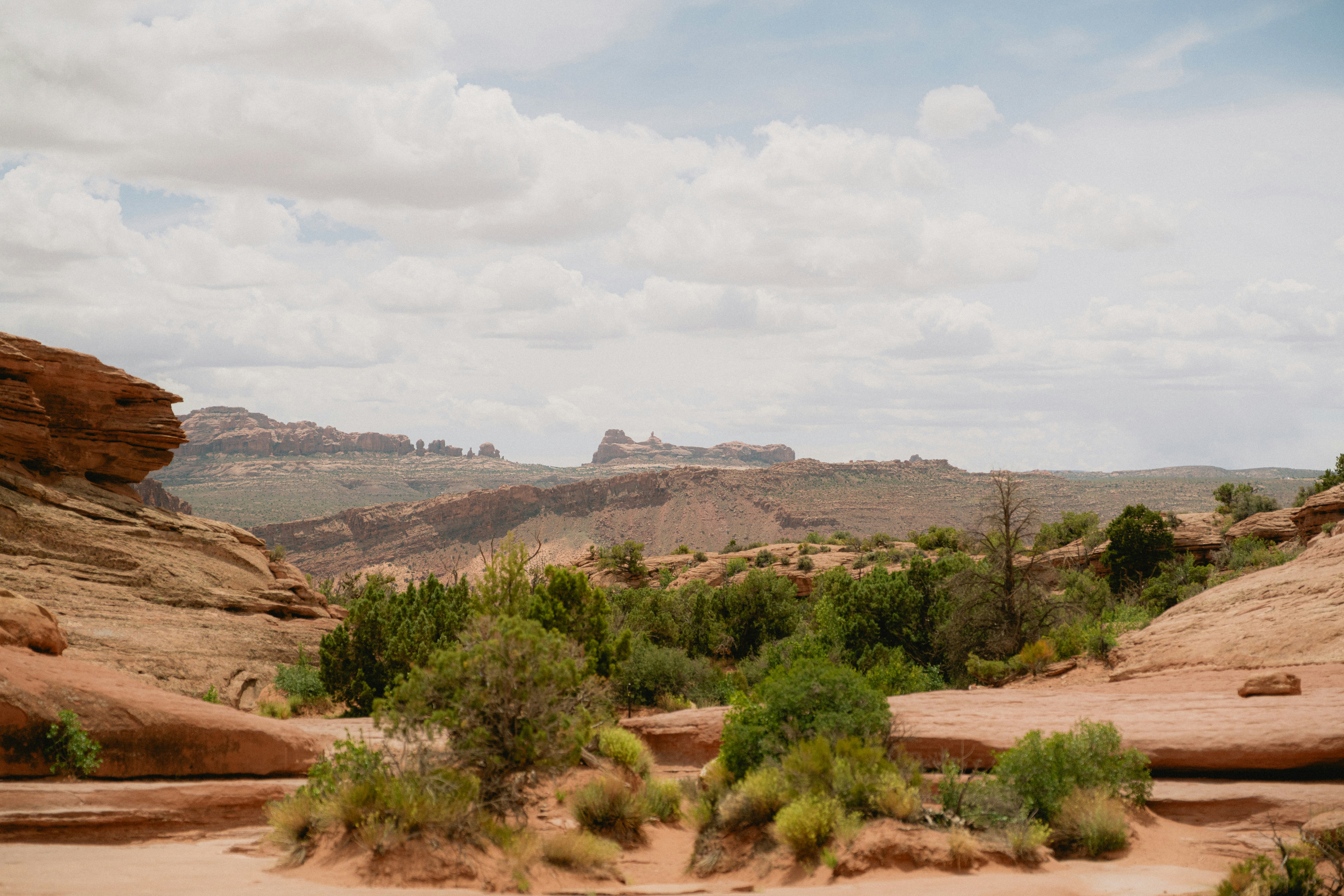 Photo by wonderwallphotos