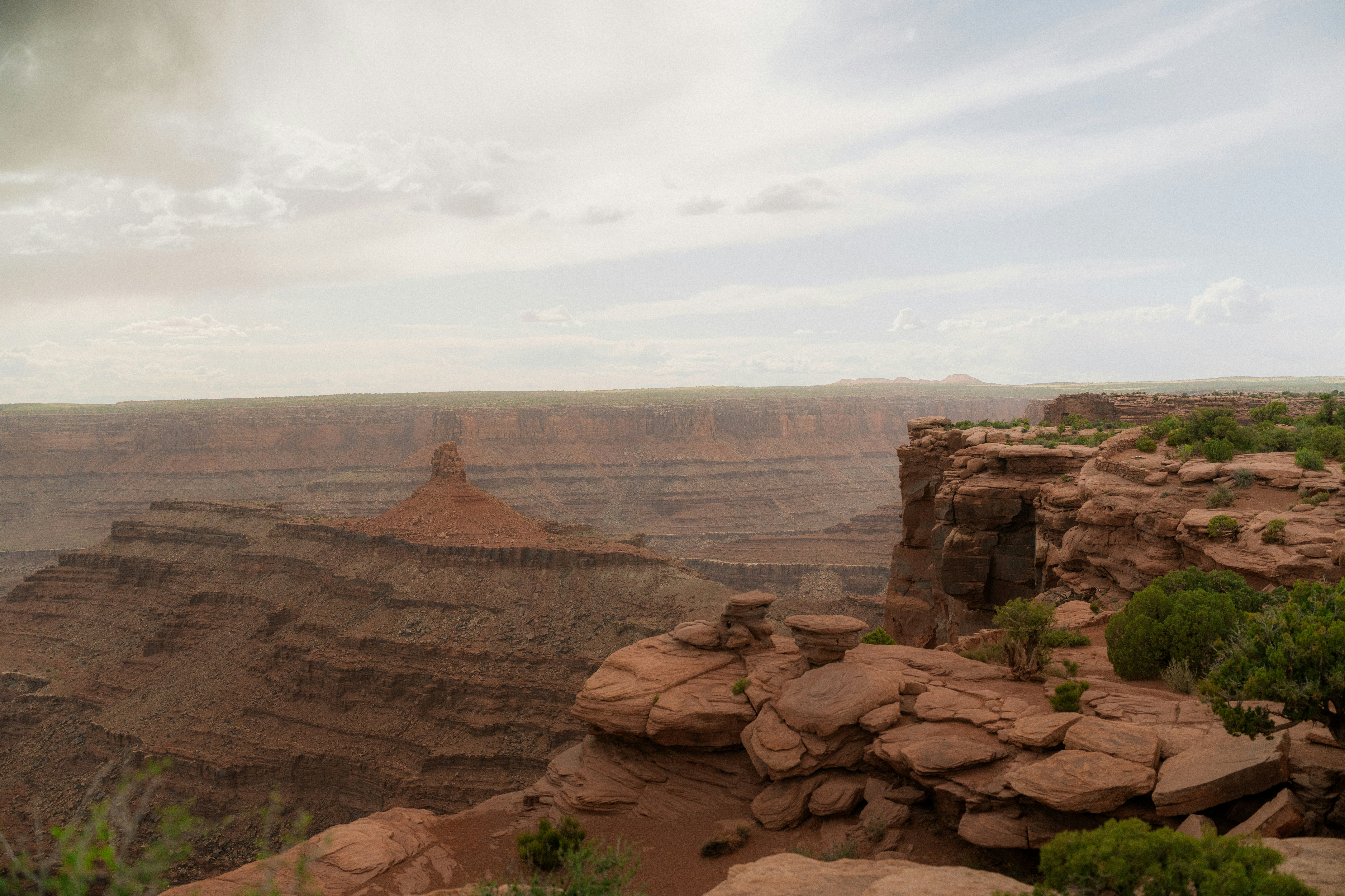 Photo by wonderwallphotos