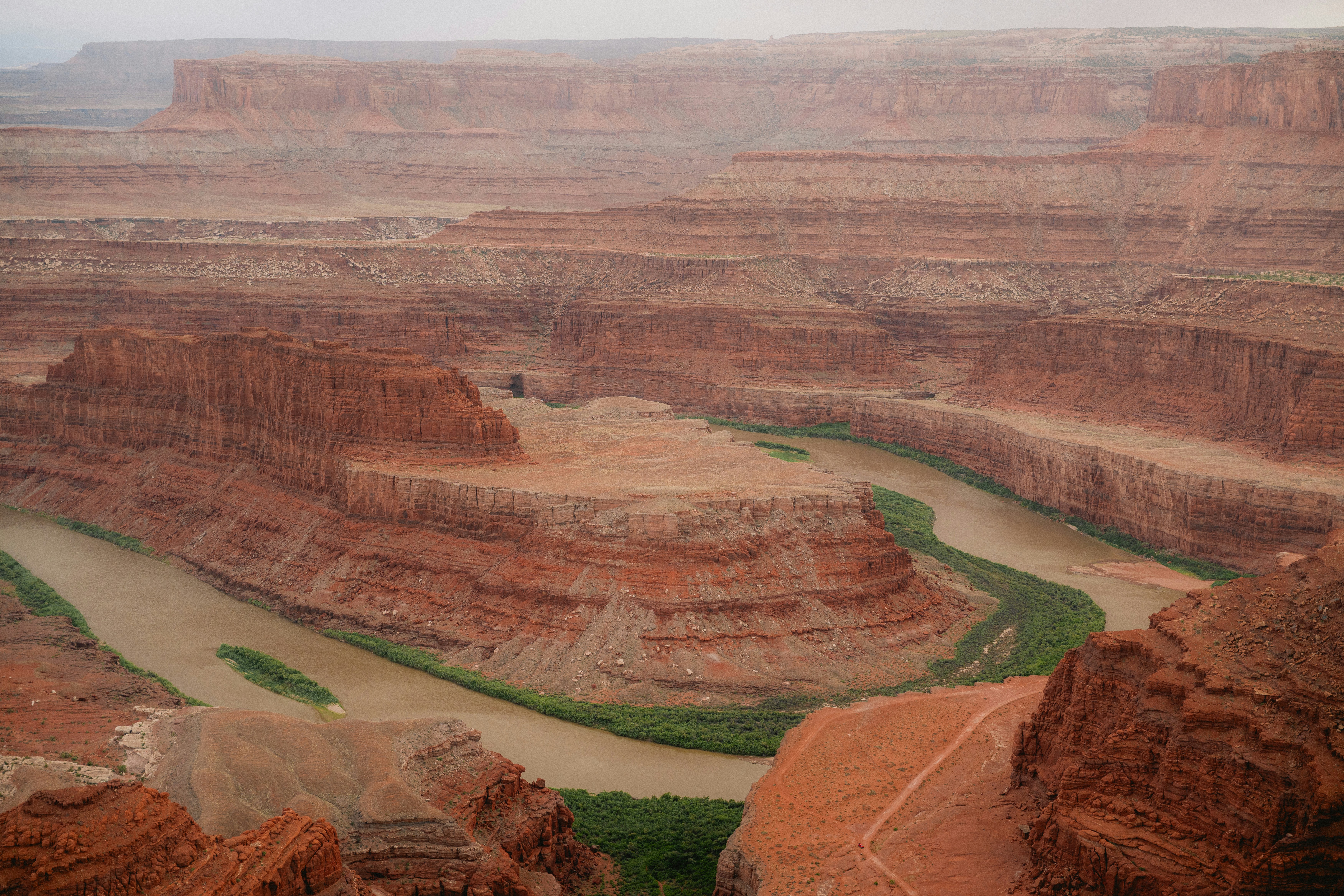 Identity Dissolution in Career Transitions