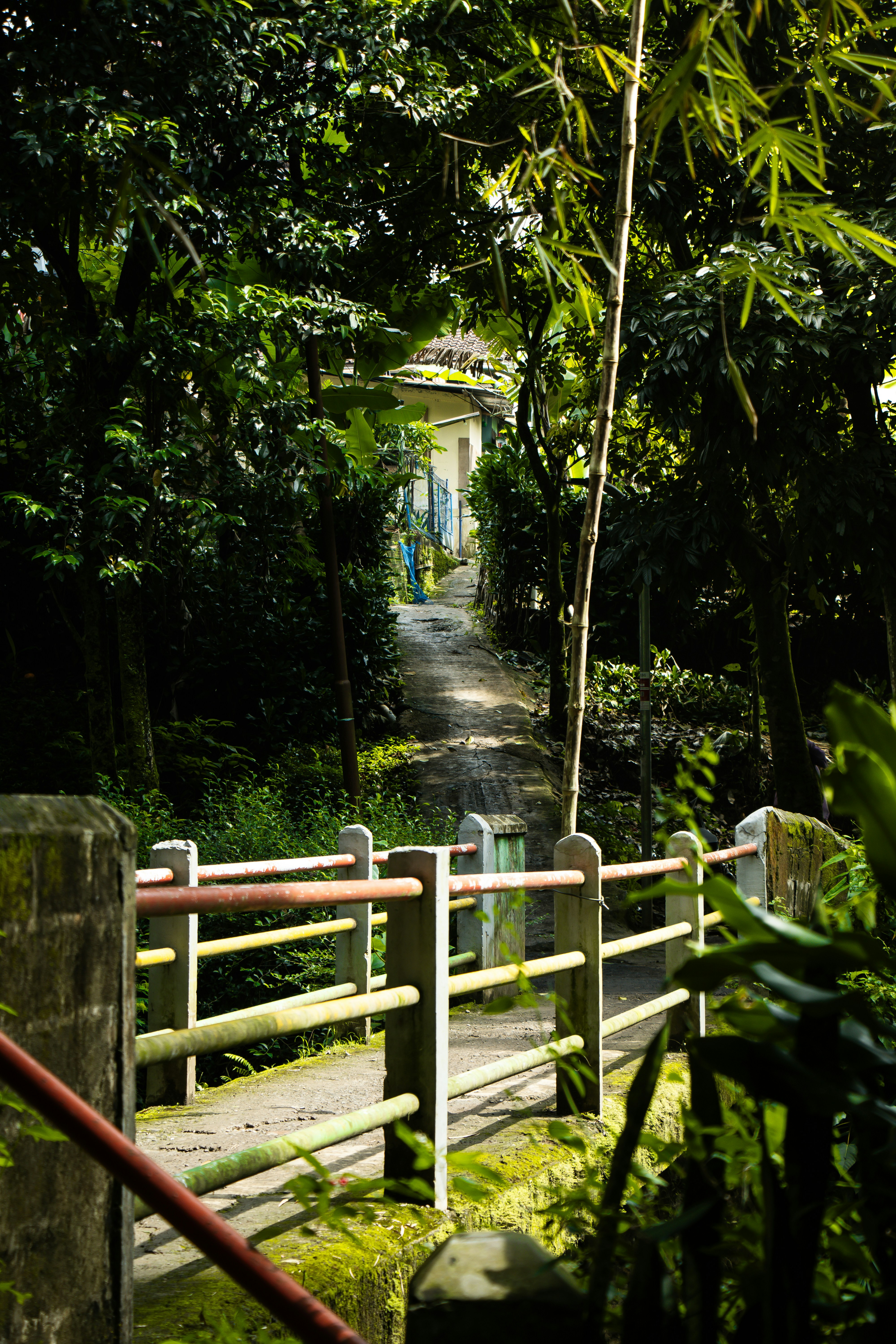 Photo by abdulridwanrr