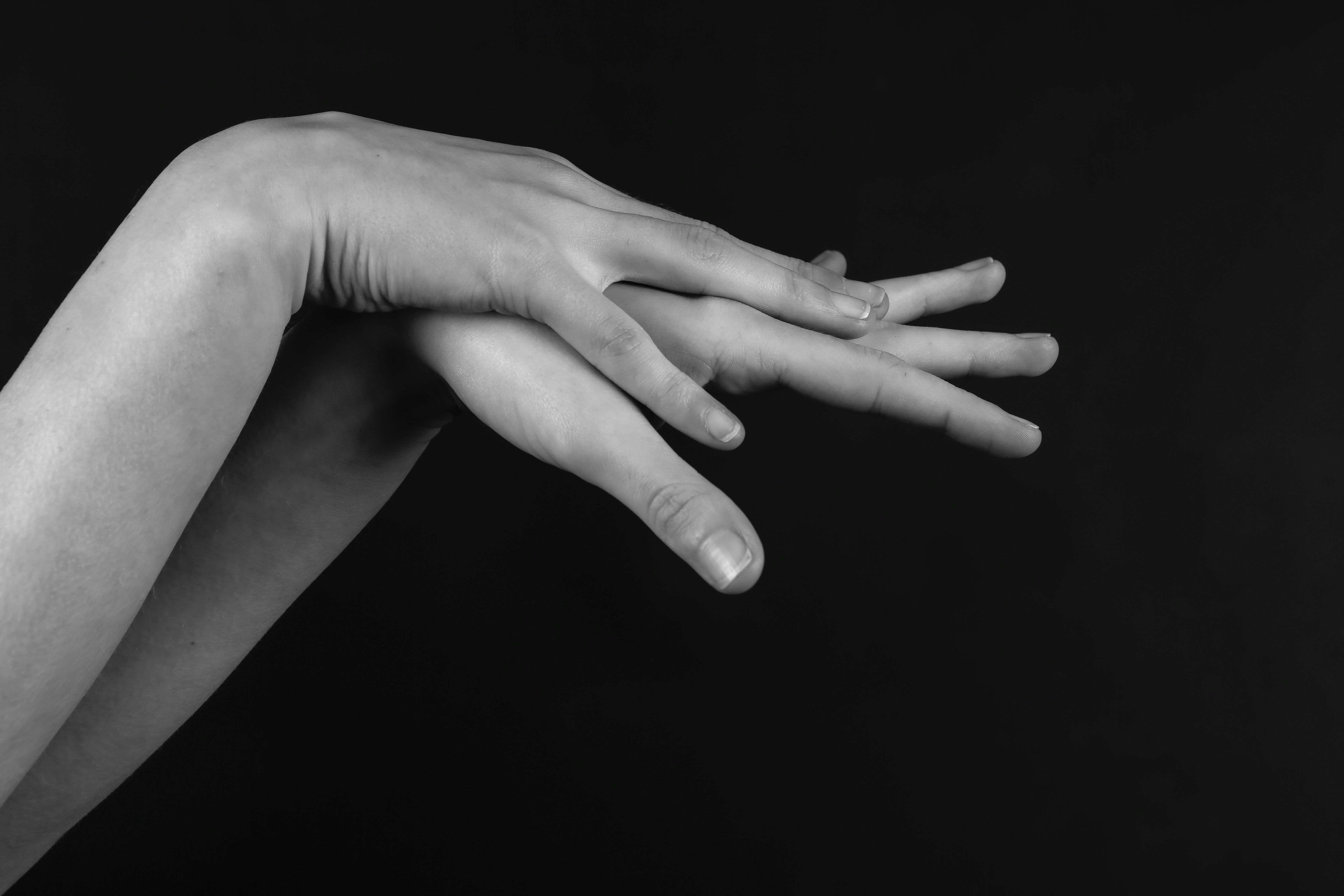 Photo by wilhelmgunkel