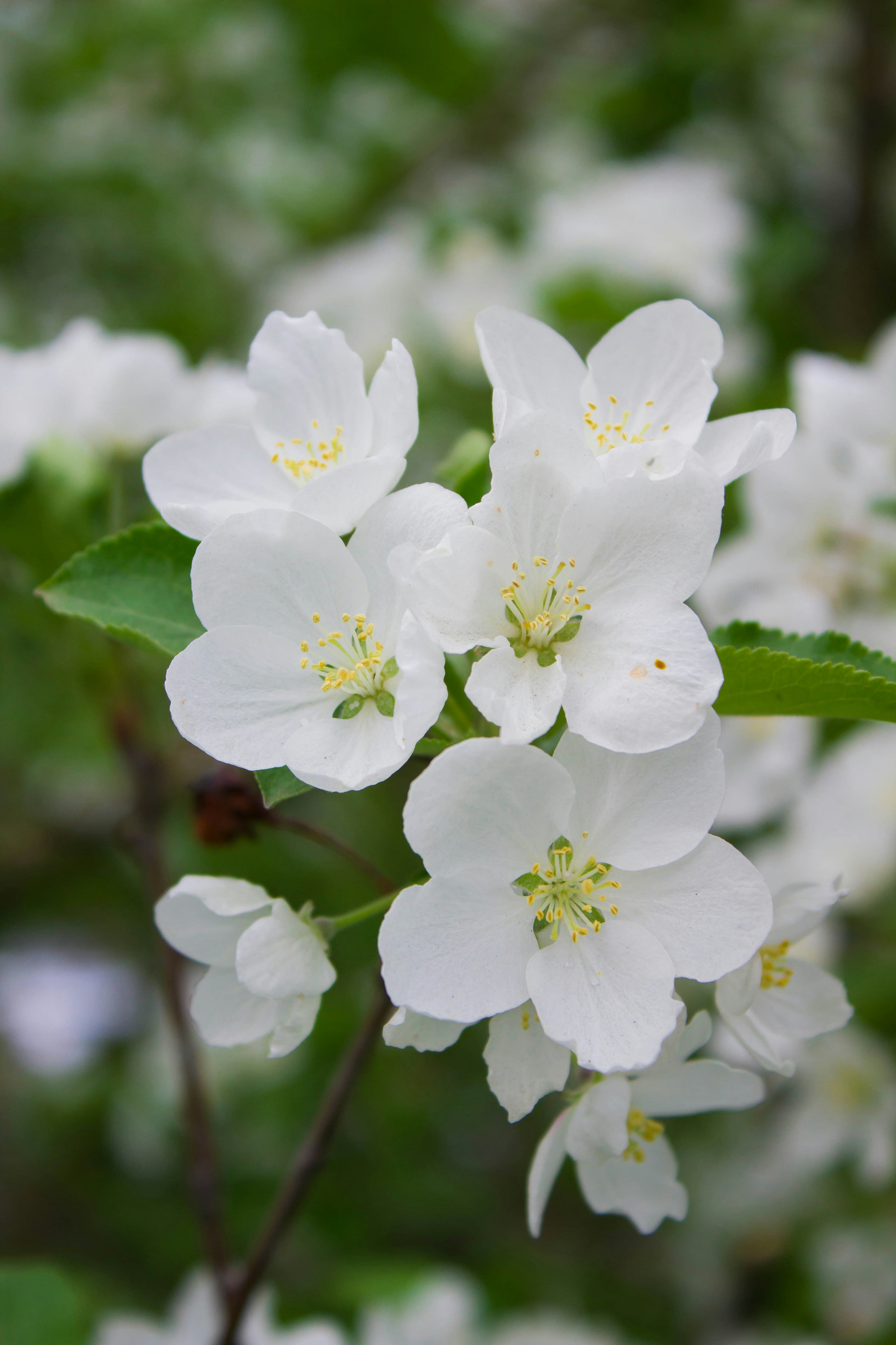 Photo by lana_zorina_ph