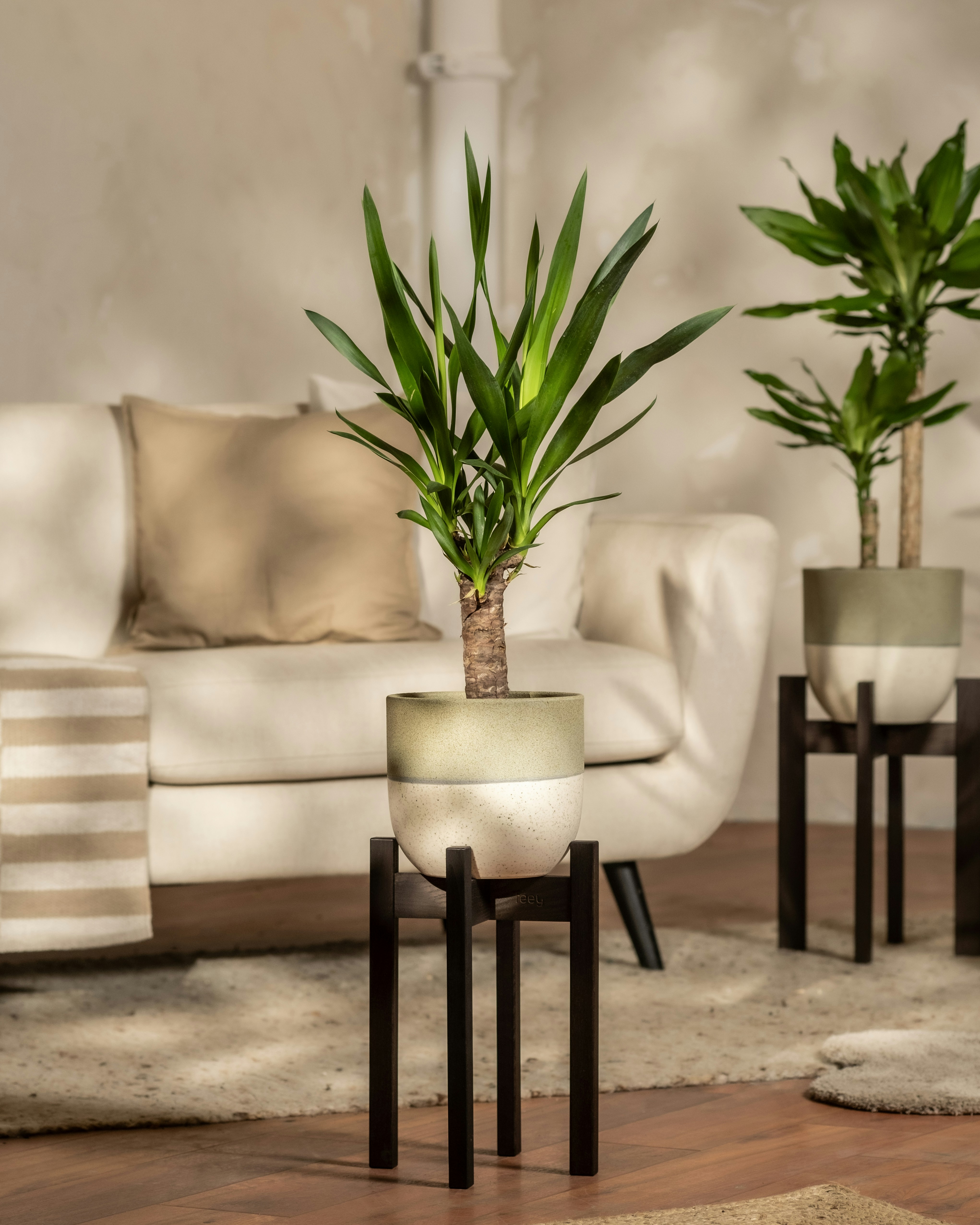 Photo by feeypflanzen