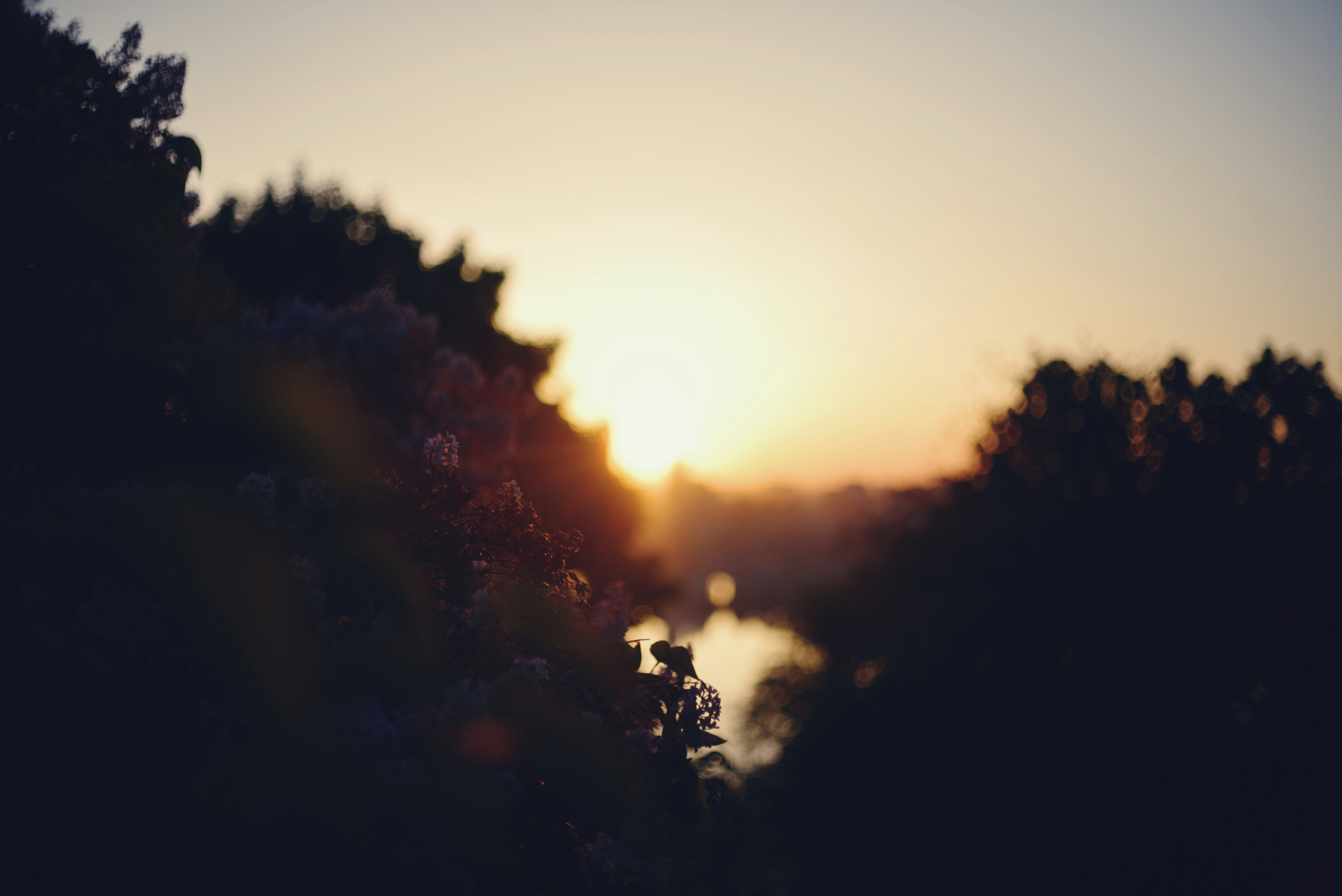 Photo by cherstve_pechivo