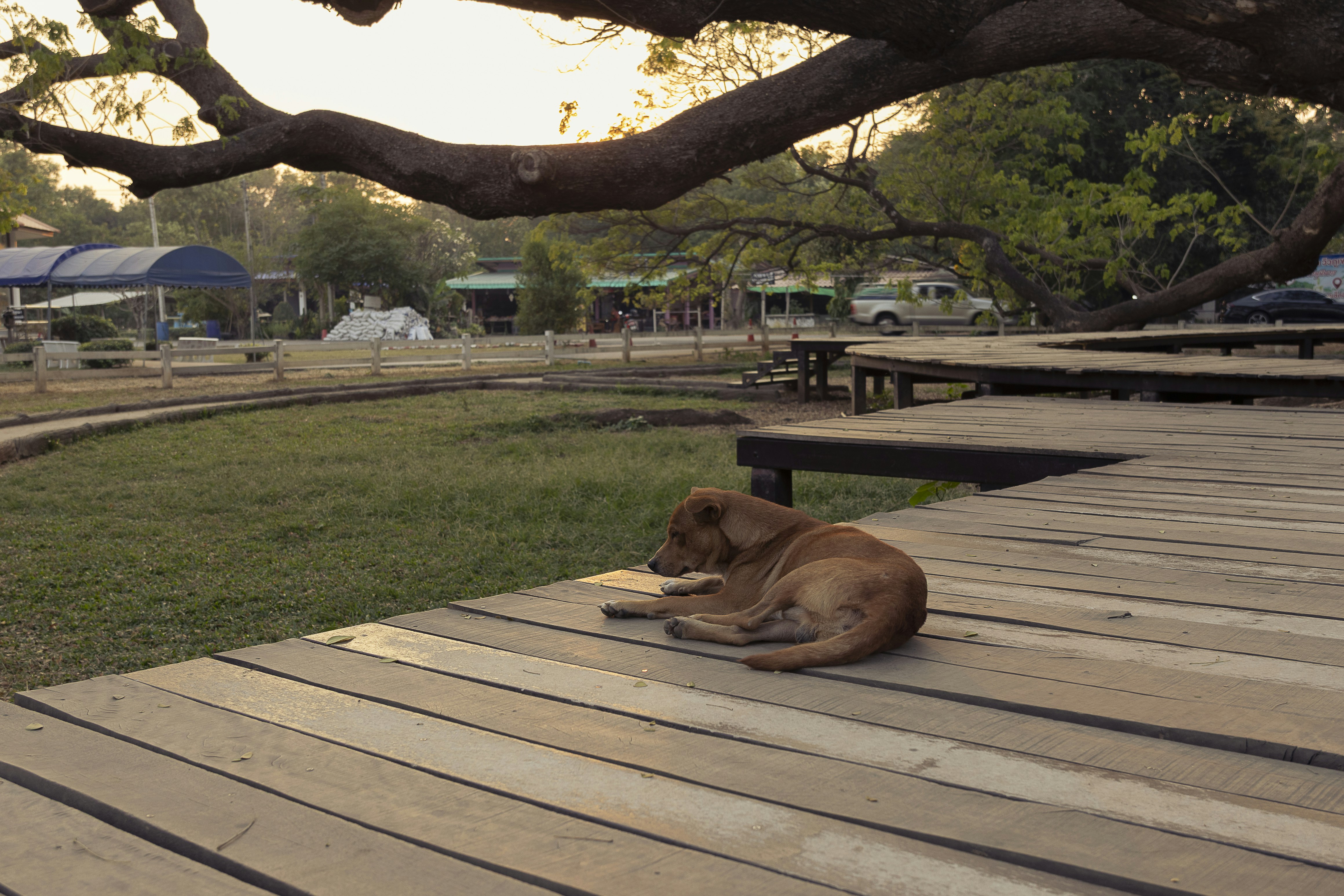 Spine Health: Why Posture Matters