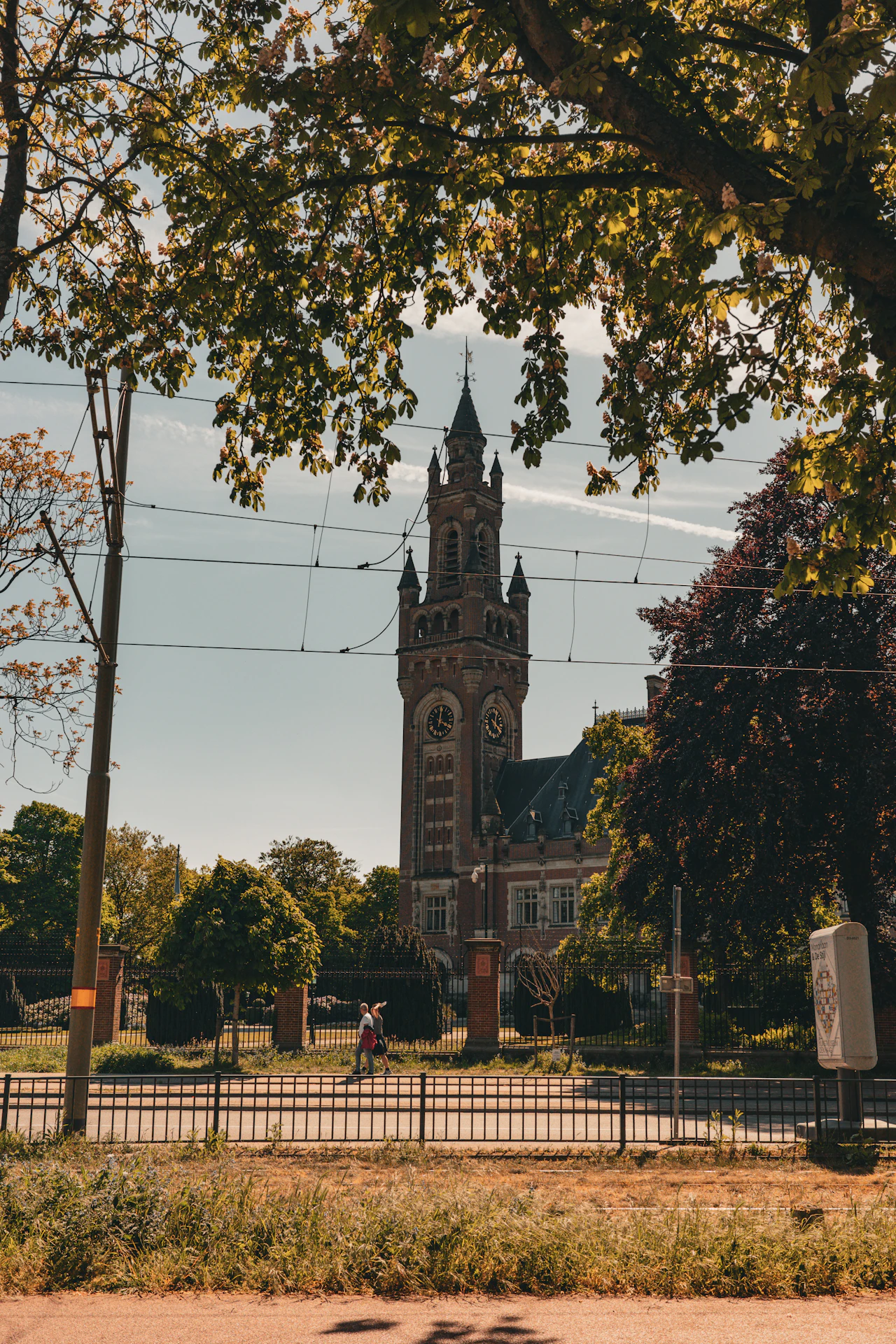 Peace Palace в Гааге