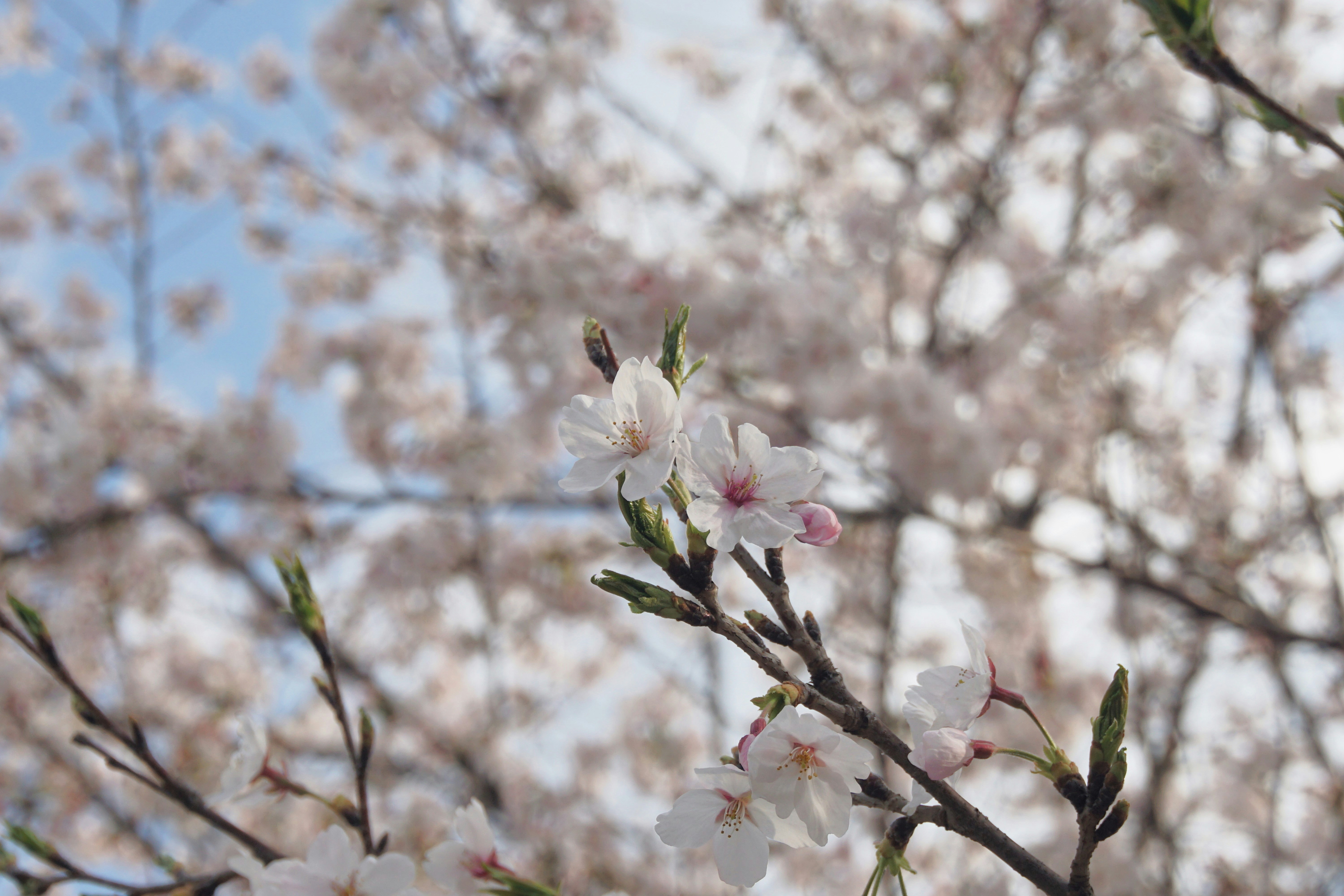 Photo by syadzasalsabyla