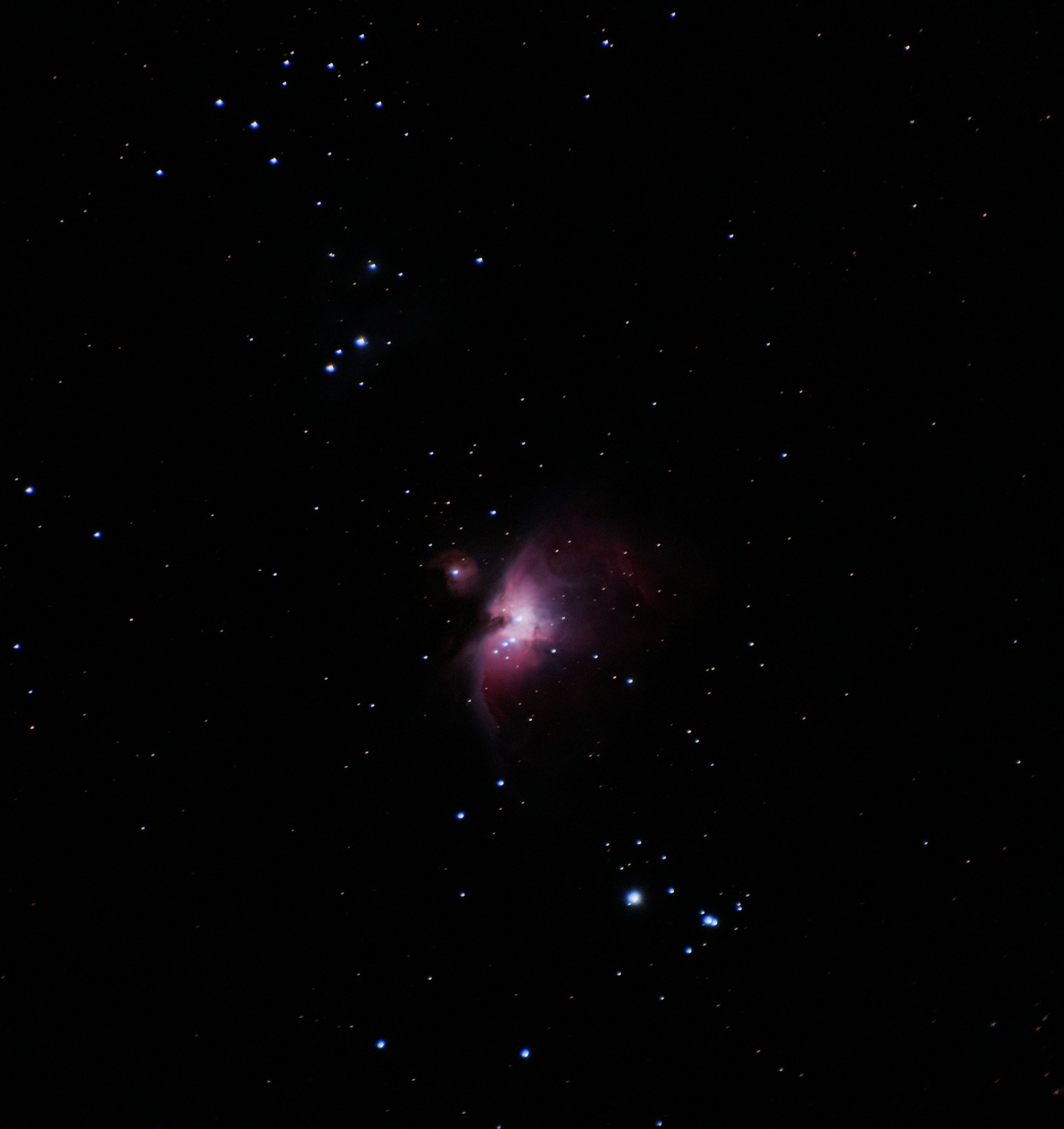 The orion nebula shimmers amidst distant stars.