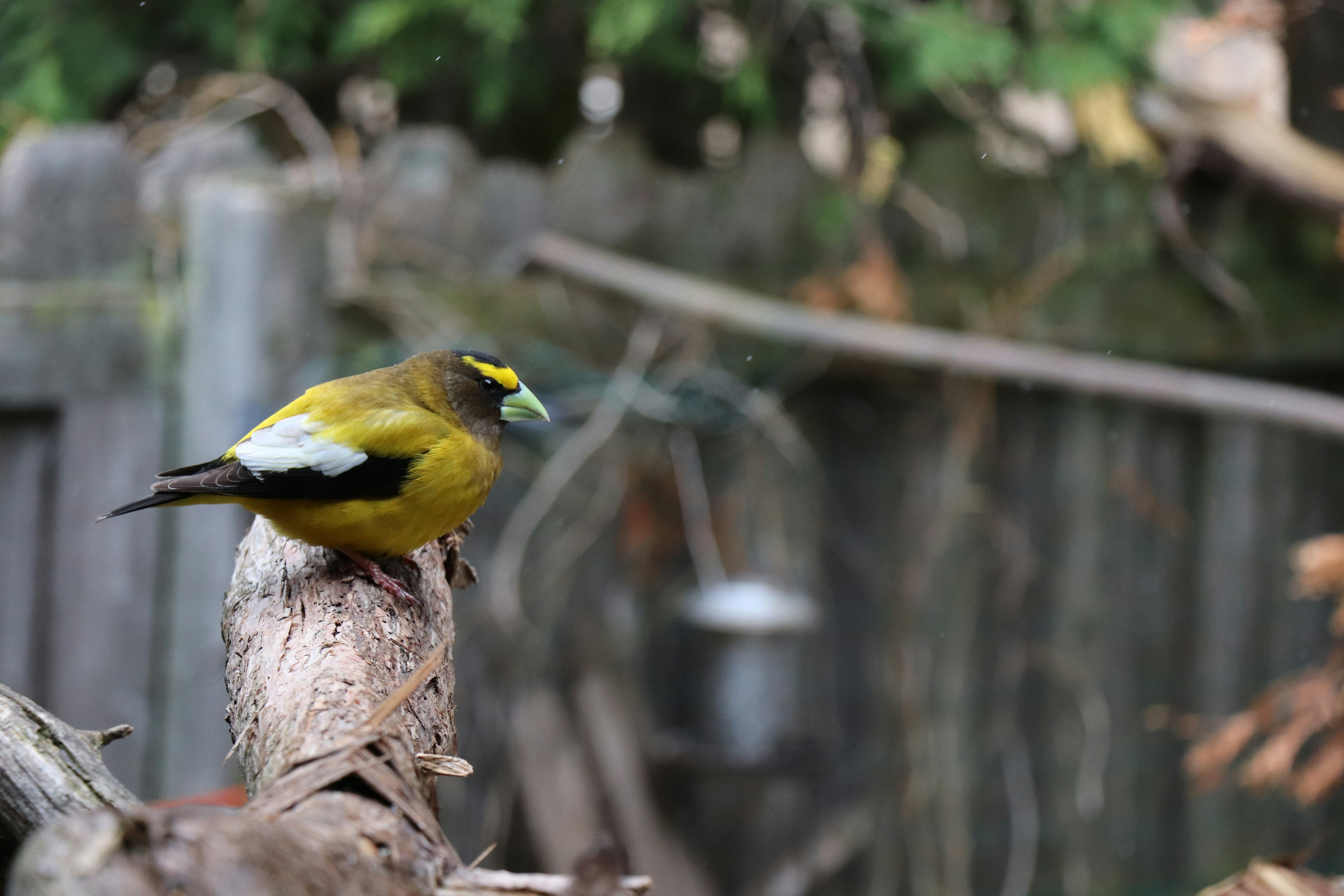 Photo by sandimagerart