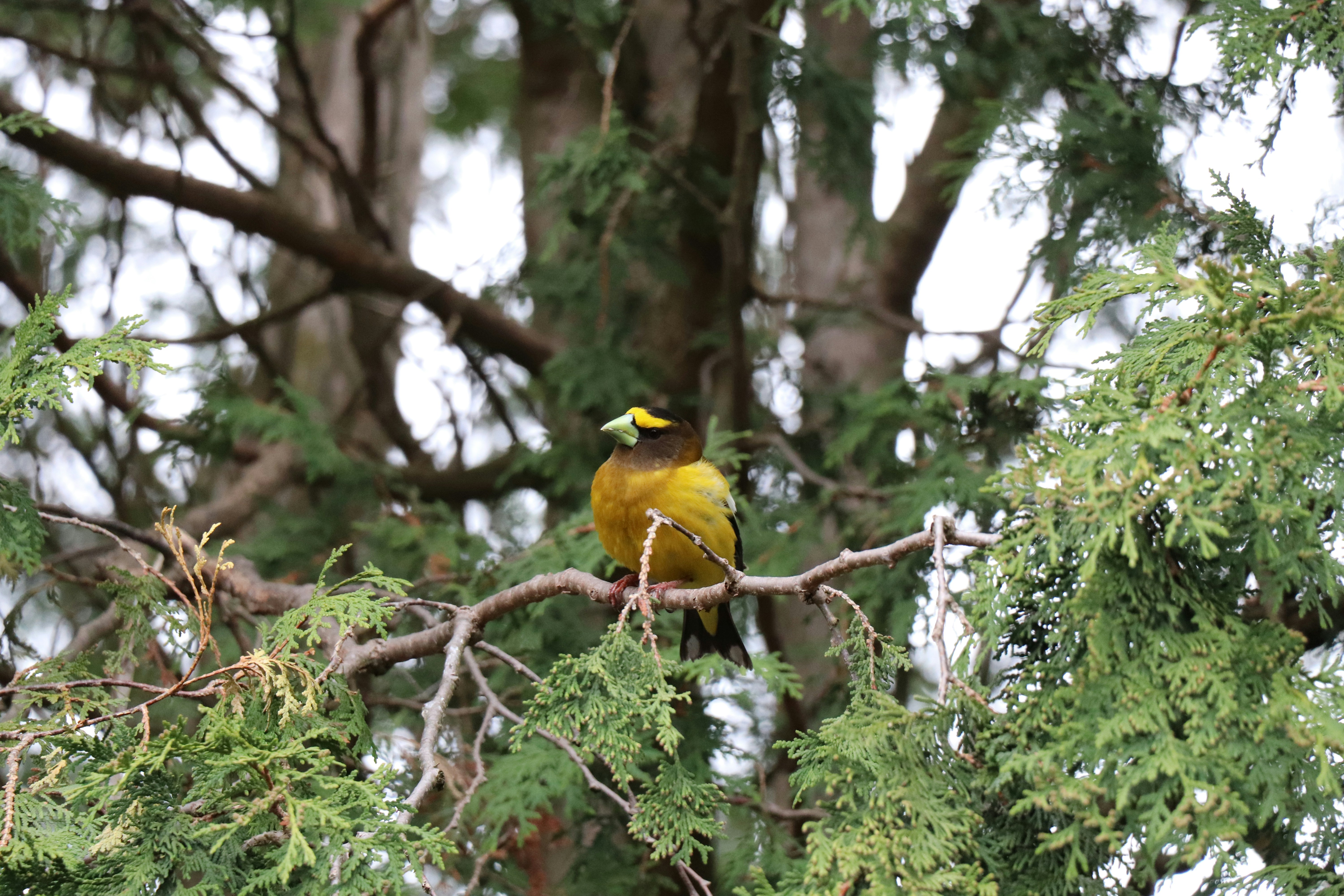 Photo by sandimagerart