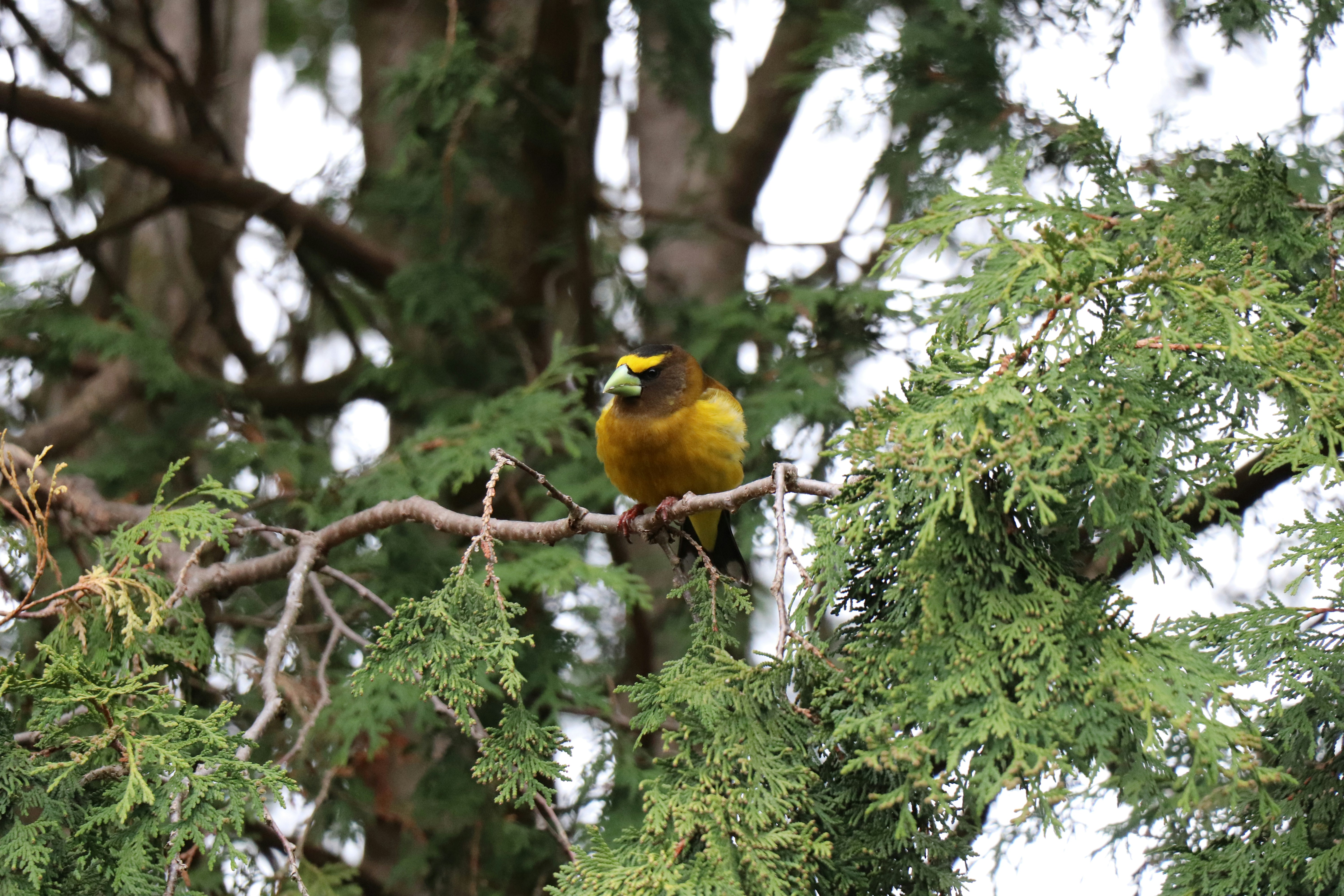 Photo by sandimagerart