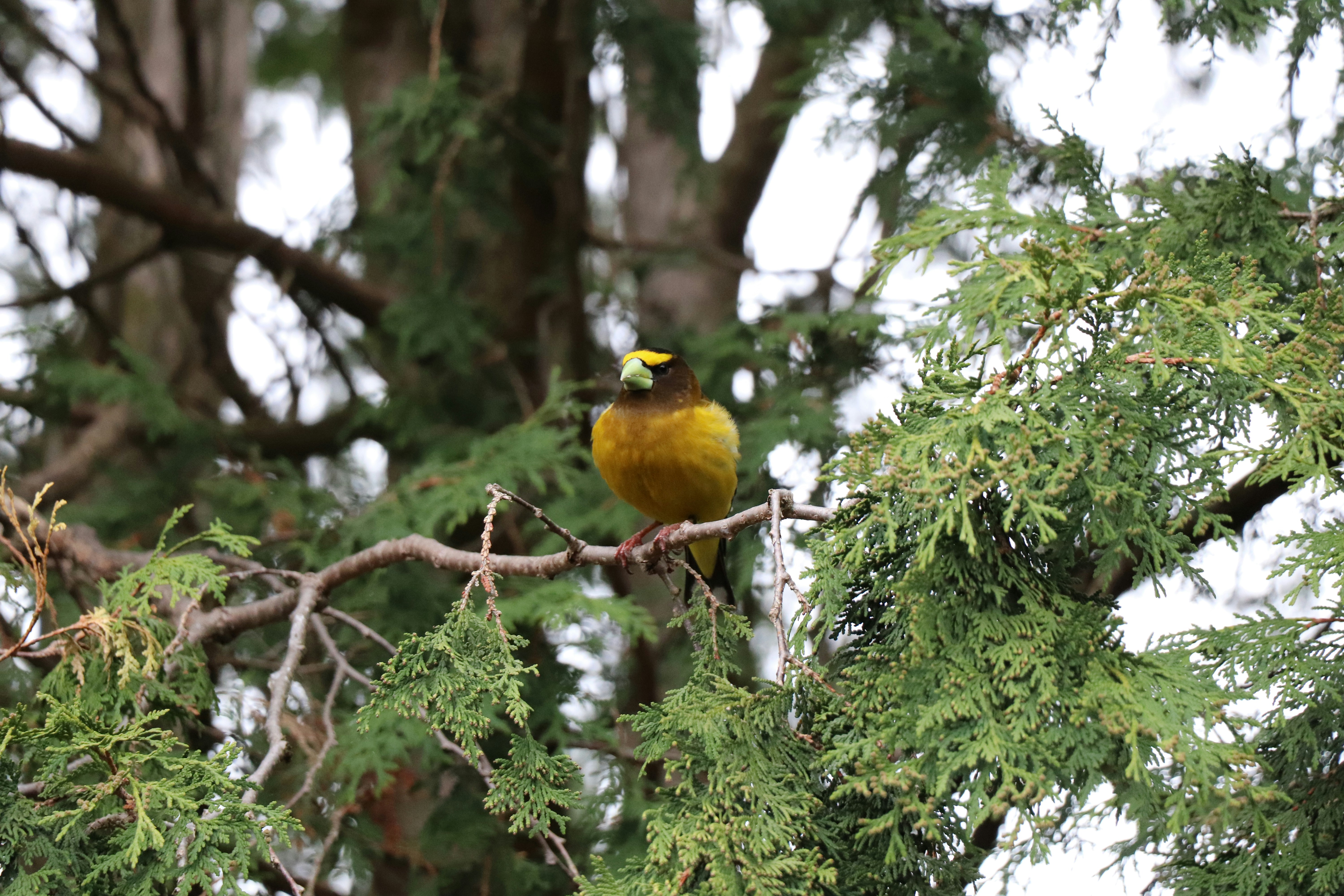 Photo by sandimagerart