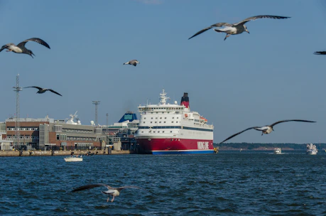 Seagulls fly above a ferry docked at the harbor.