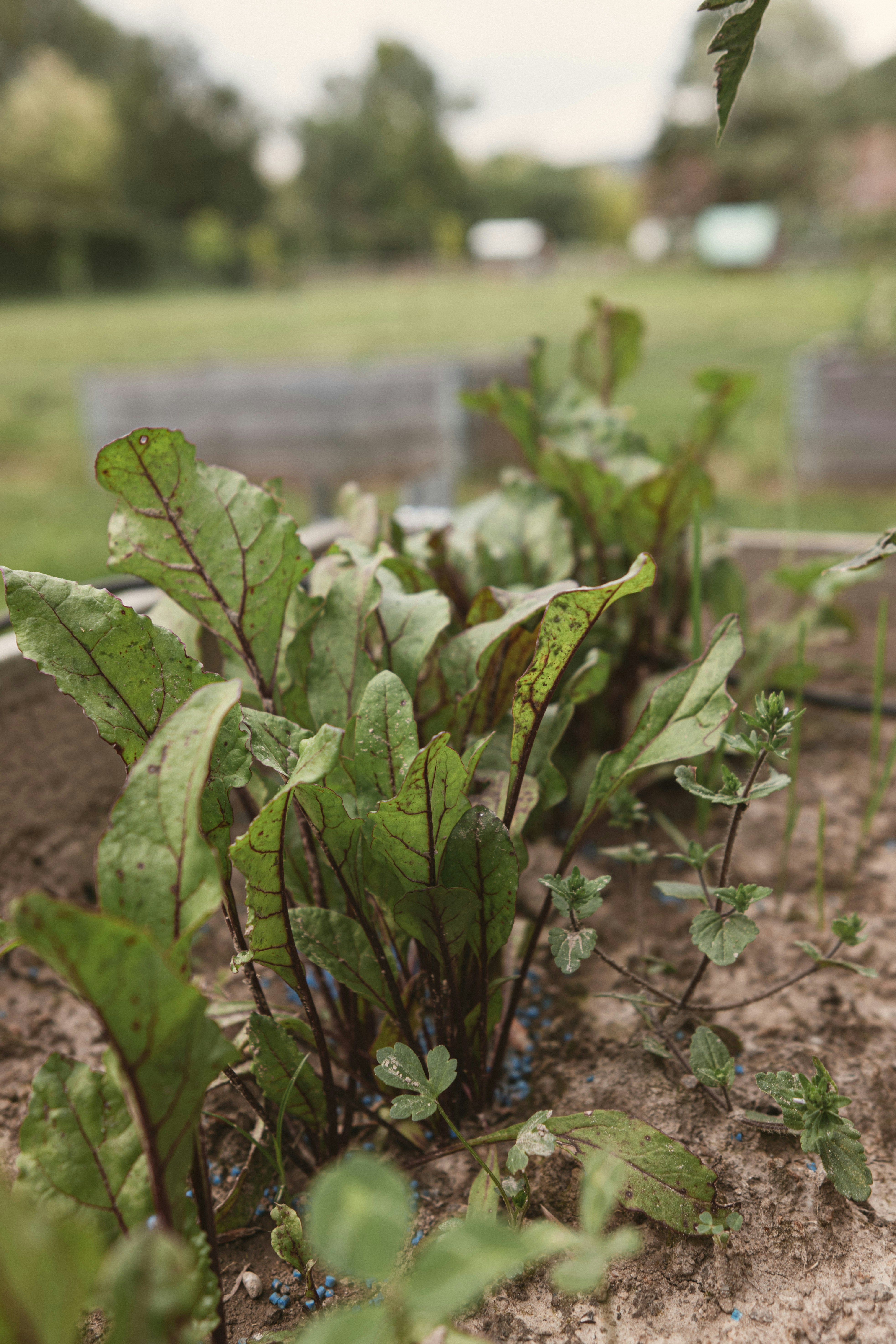 Photo by i_am_simoesse