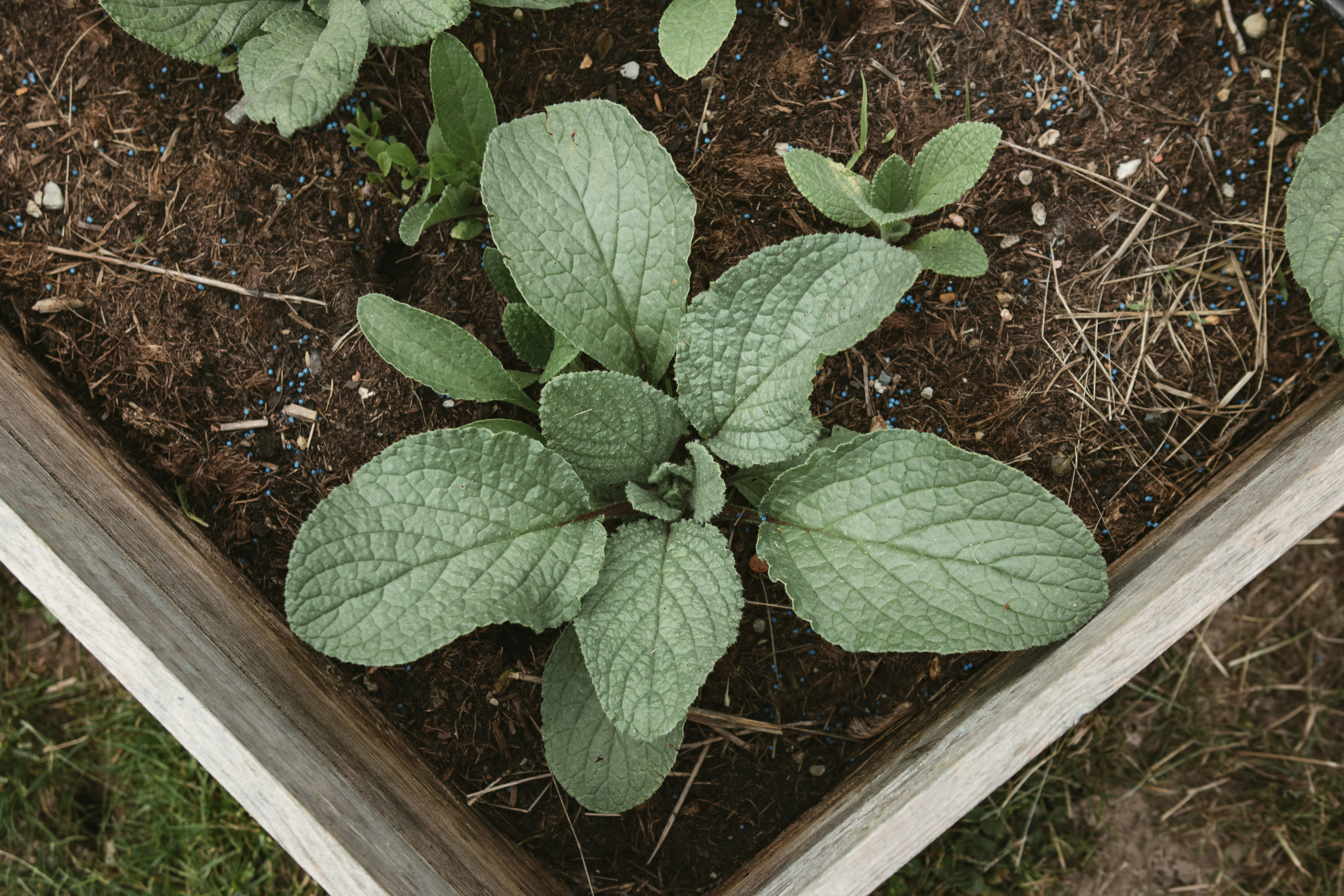 Photo by i_am_simoesse