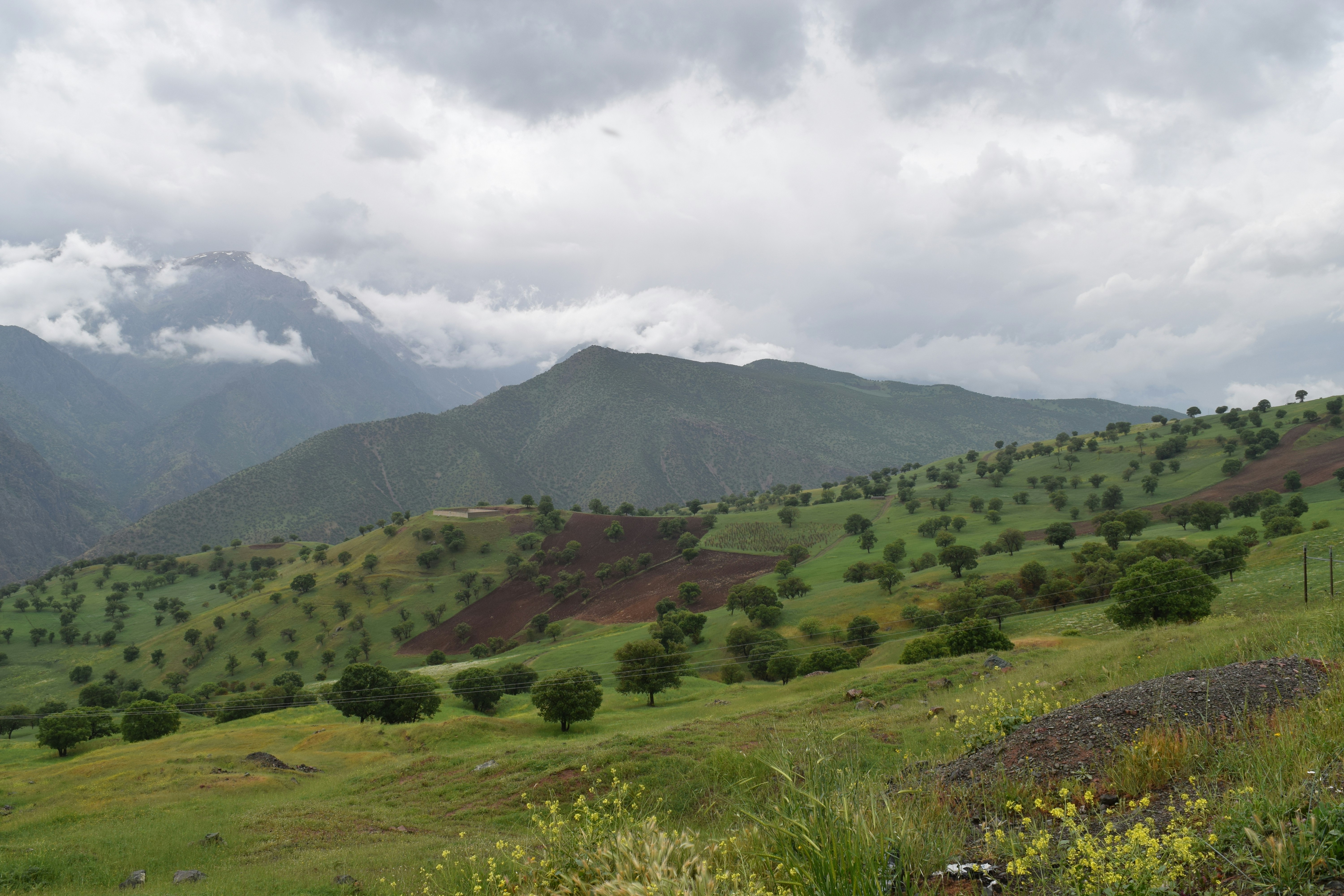 Photo by pinkpalmstudio