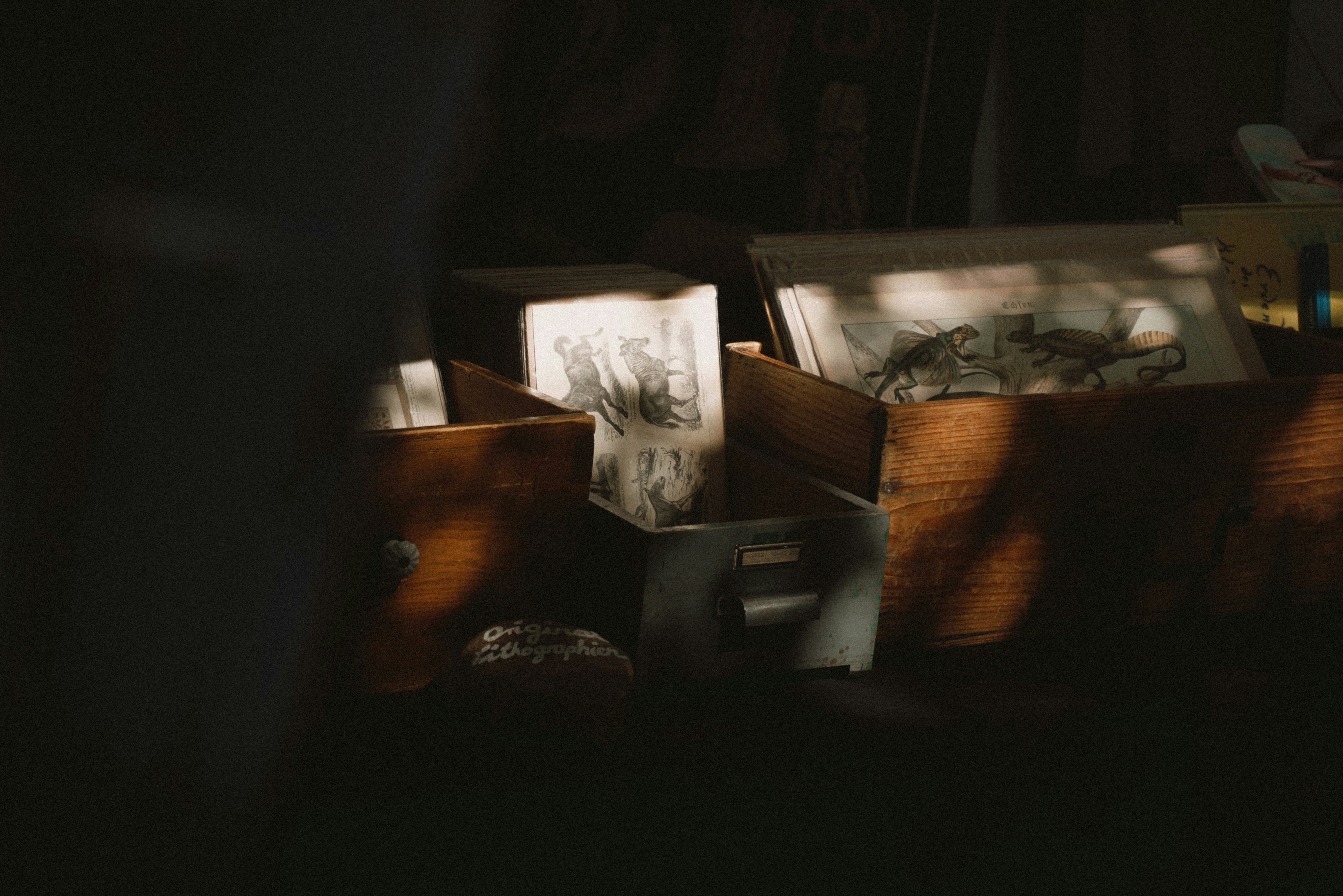 Photo by infernisvox