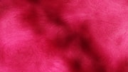 Abstract, pink, and dark red color field.