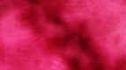 Abstract, pink, and dark red color field.